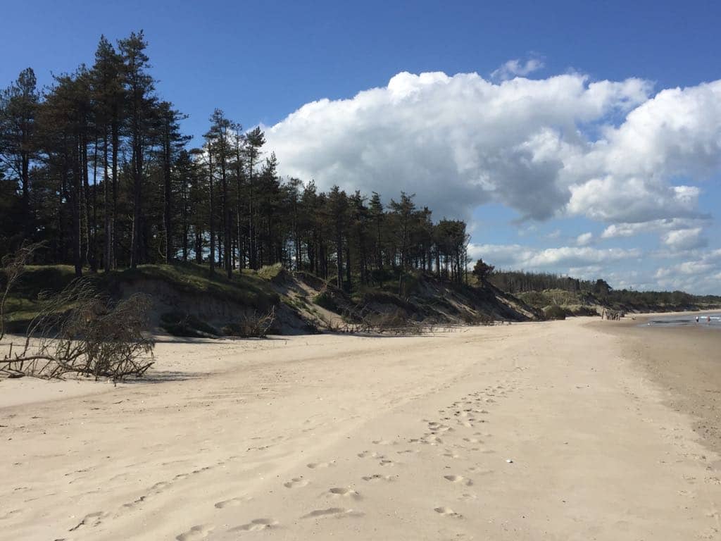 Meadow and Dune Ecosystems