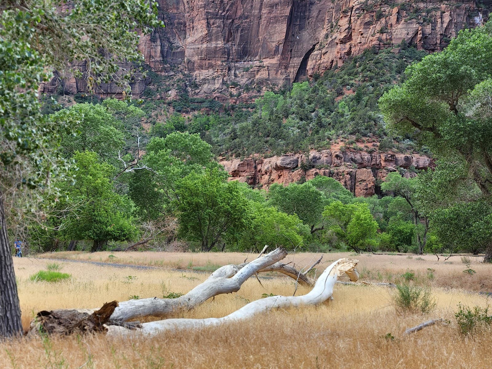 The Grotto - Image 1