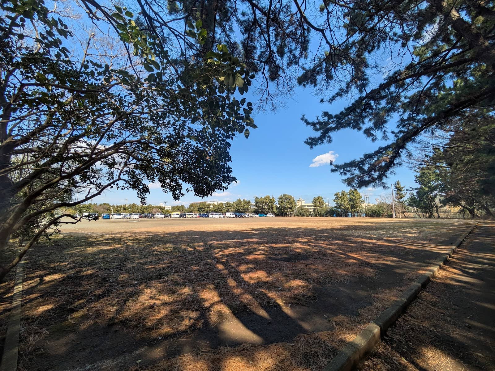 Lawn Area Relaxation