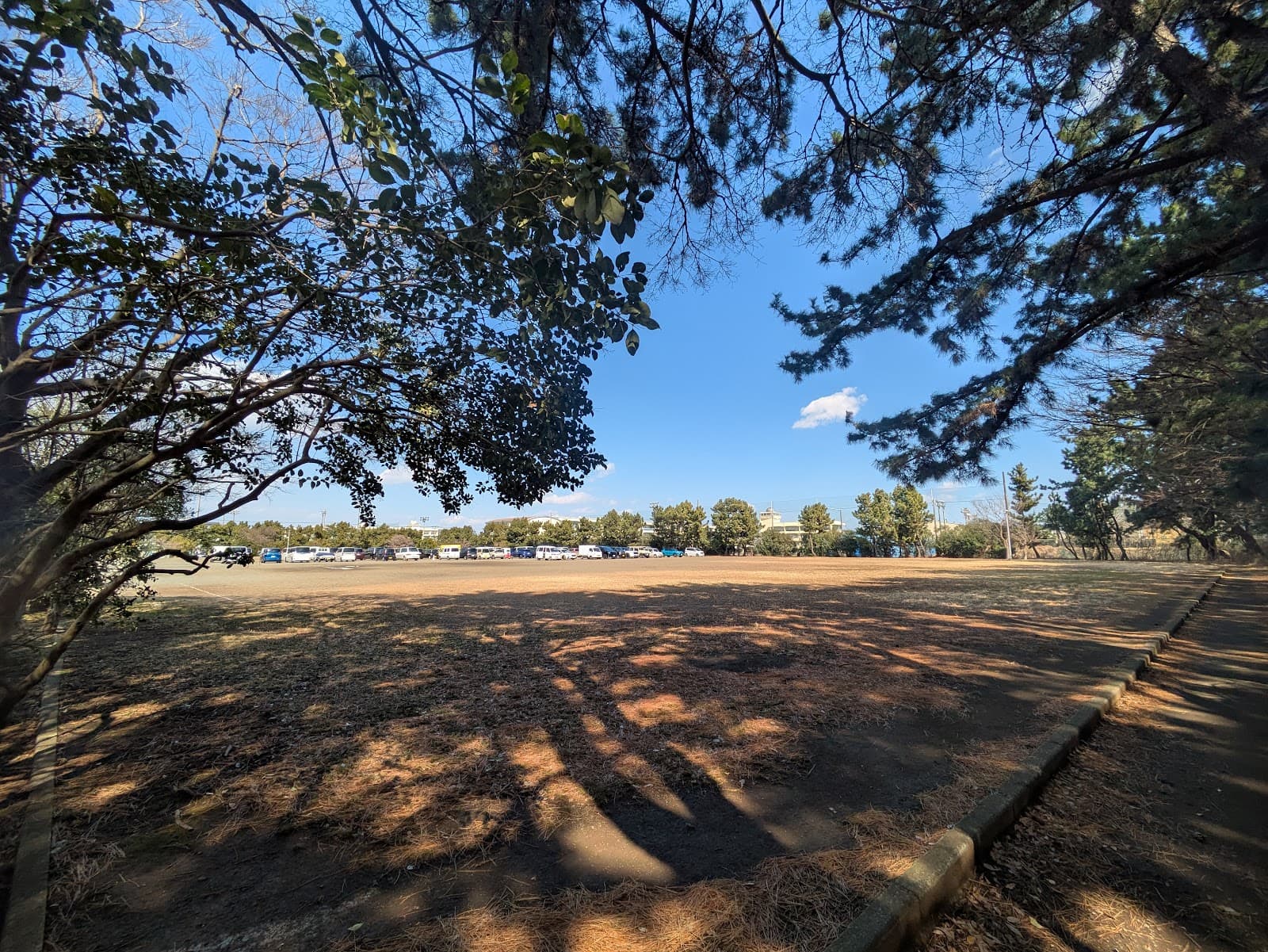 SunSun Marche (Hiratsuka) - Image 1