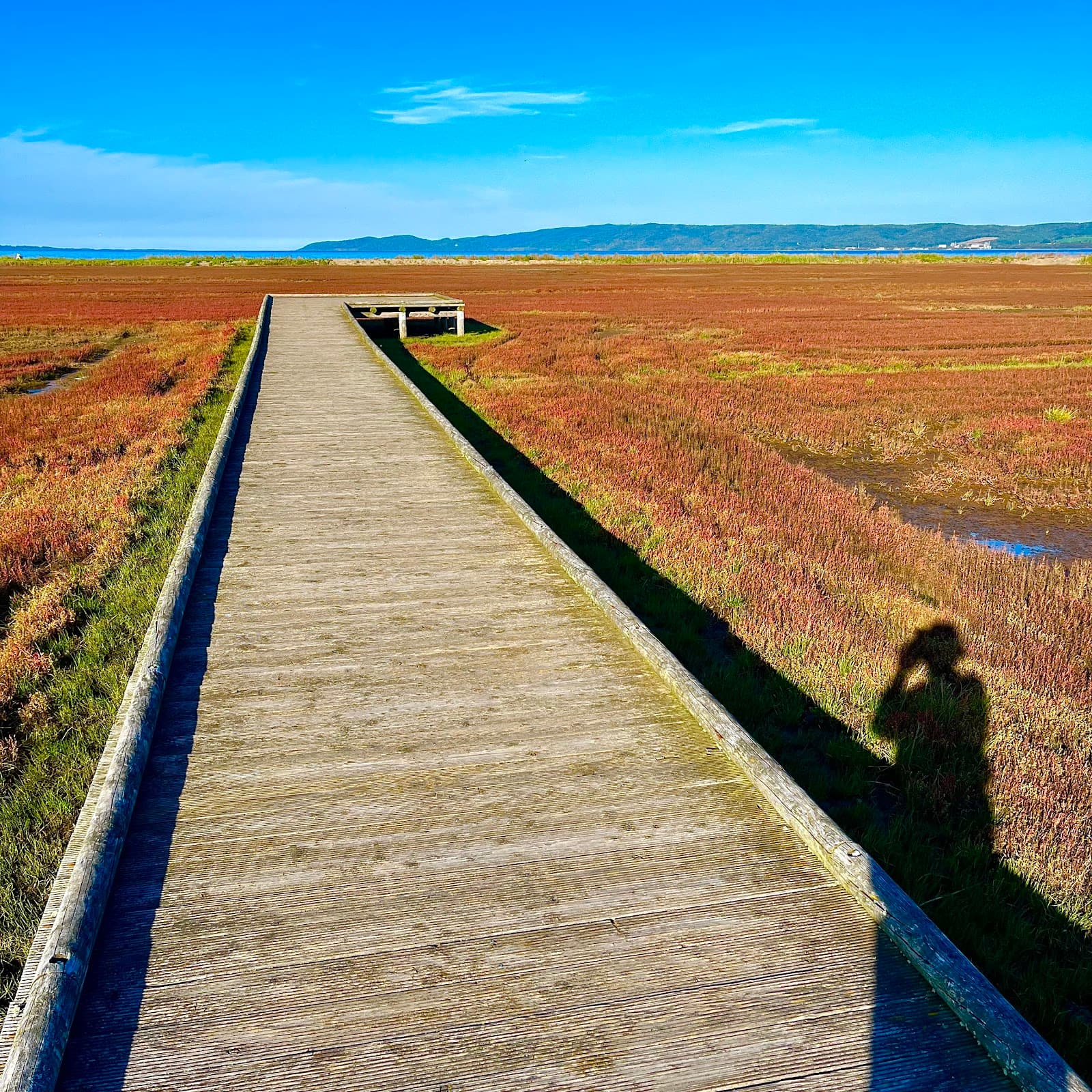 Notoro Coral Grass Boardwalk - Image 1