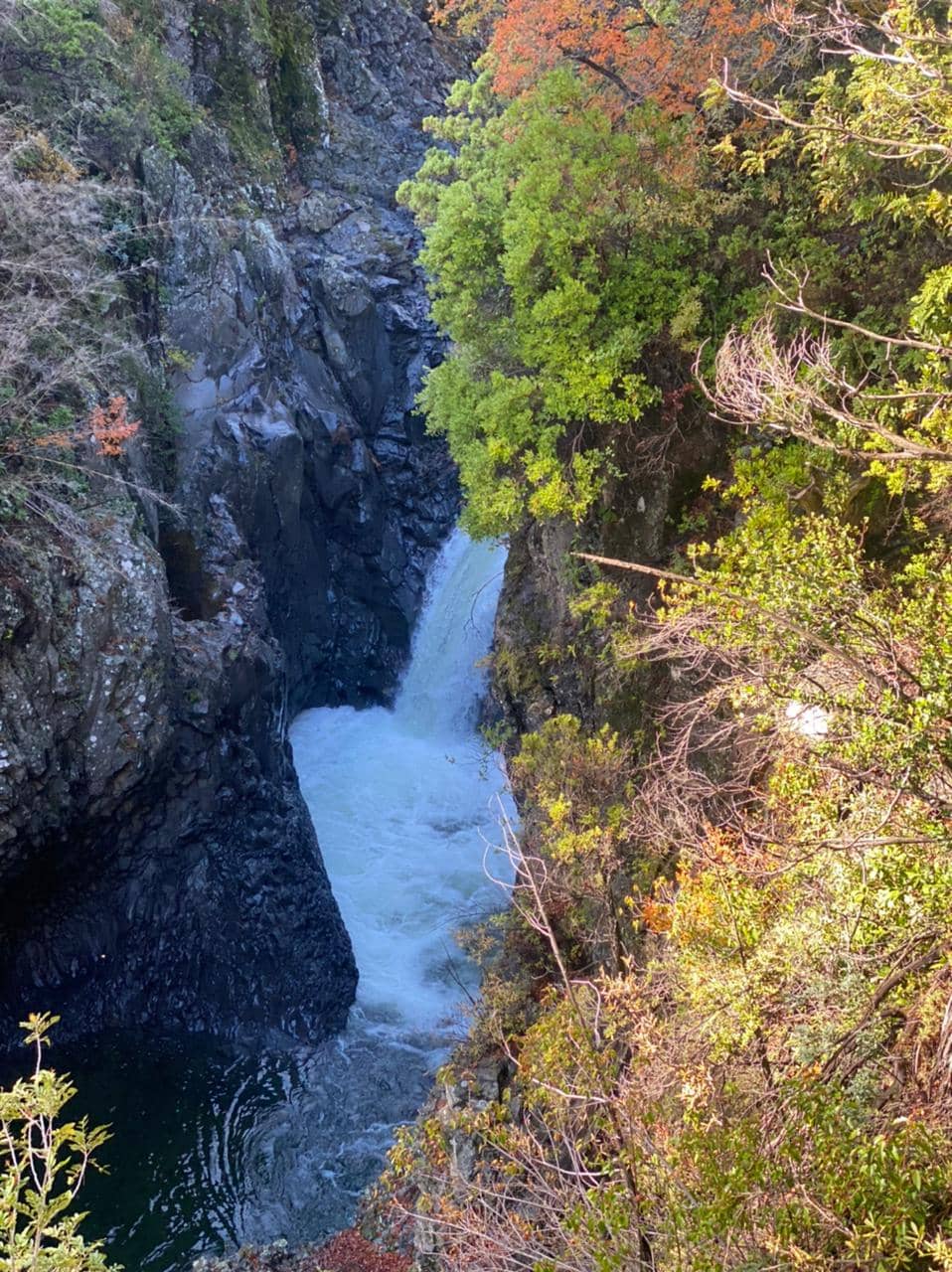 Vertical photo