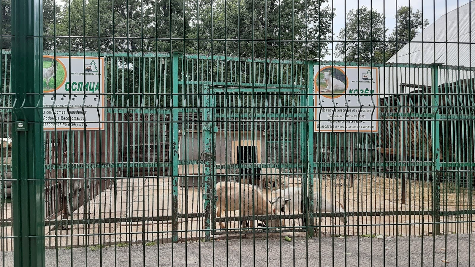 Ufa Zoo - Image 1