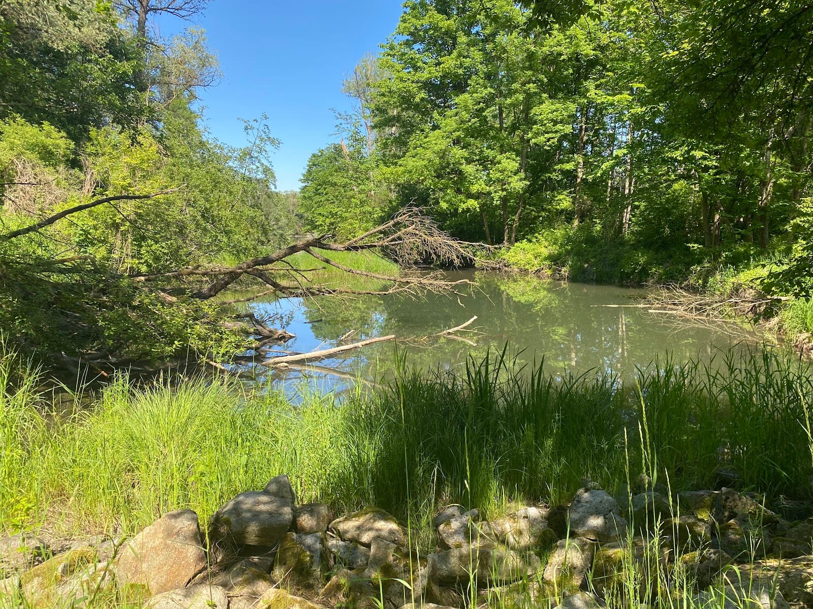 Innauen Braunau Lower Inn - Image 1