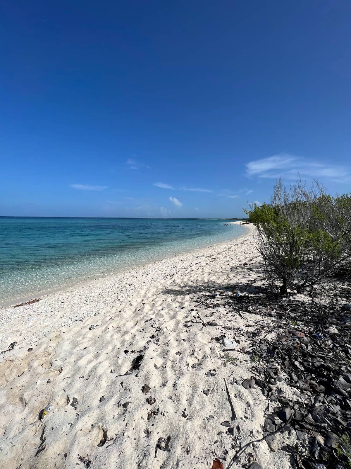 Sea Turtle Nesting Sites