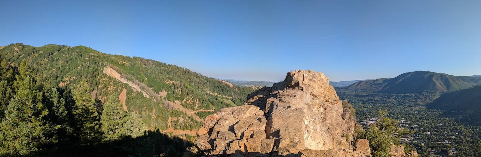 Vertical photo