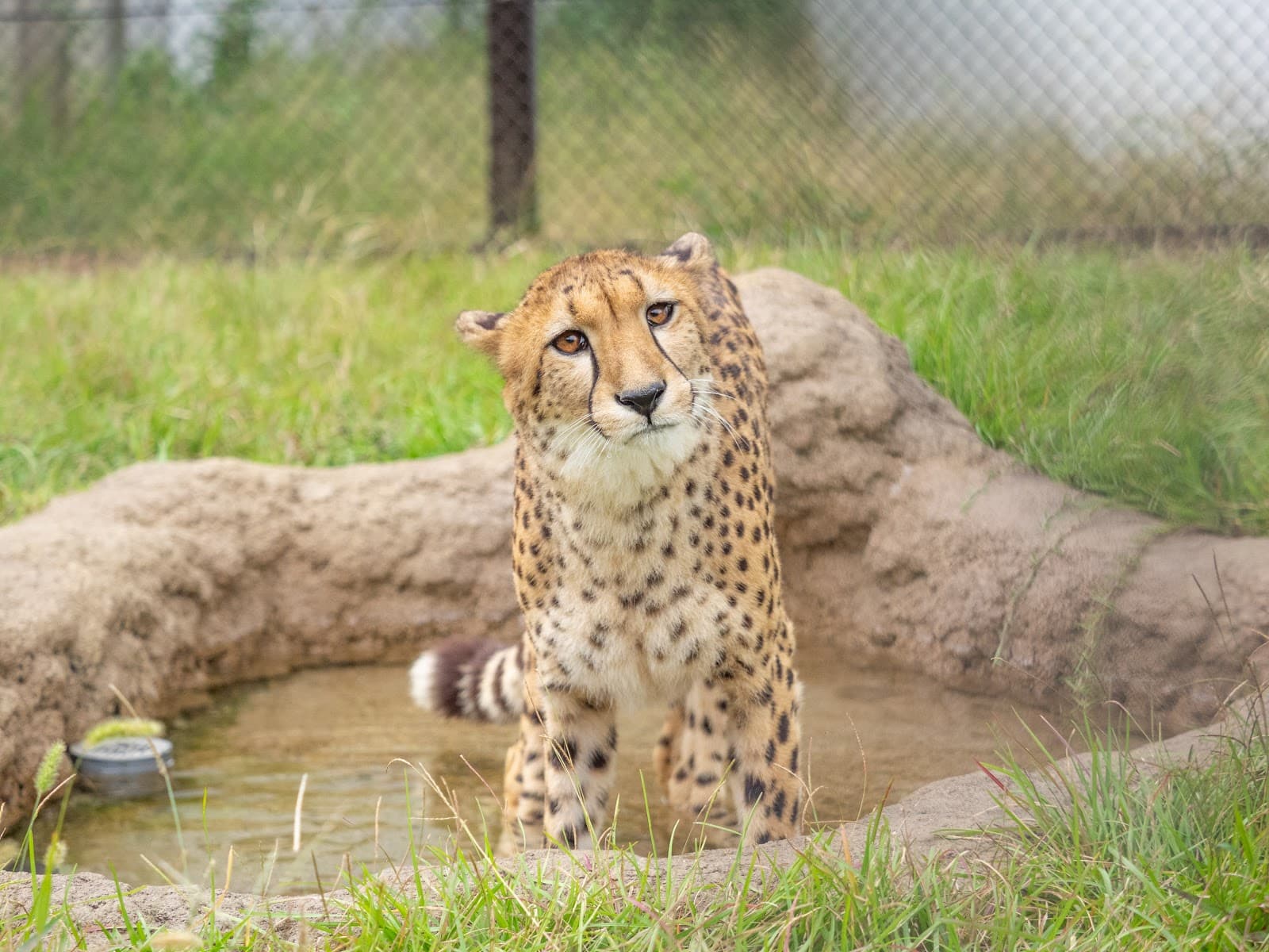 Chiba Zoological Park - Image 1
