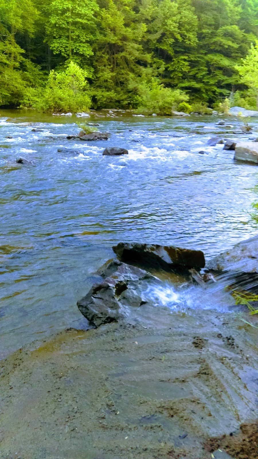 Confluence with Little Conemaugh & Conemaugh Rivers