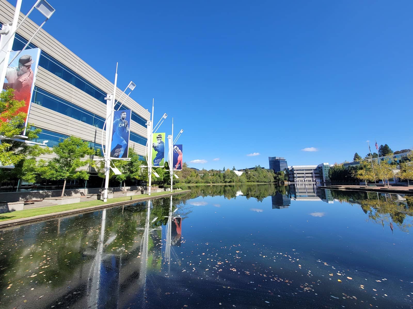 Motivational Quotes & Art