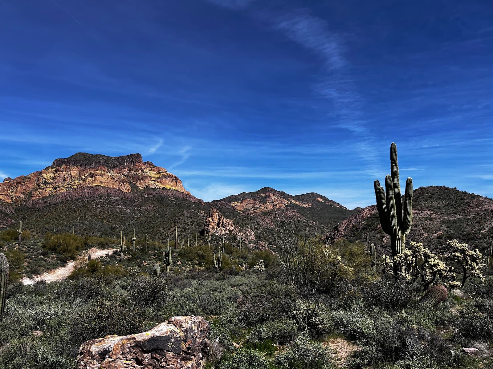 Bulldog Canyon OHV Area - Image 1