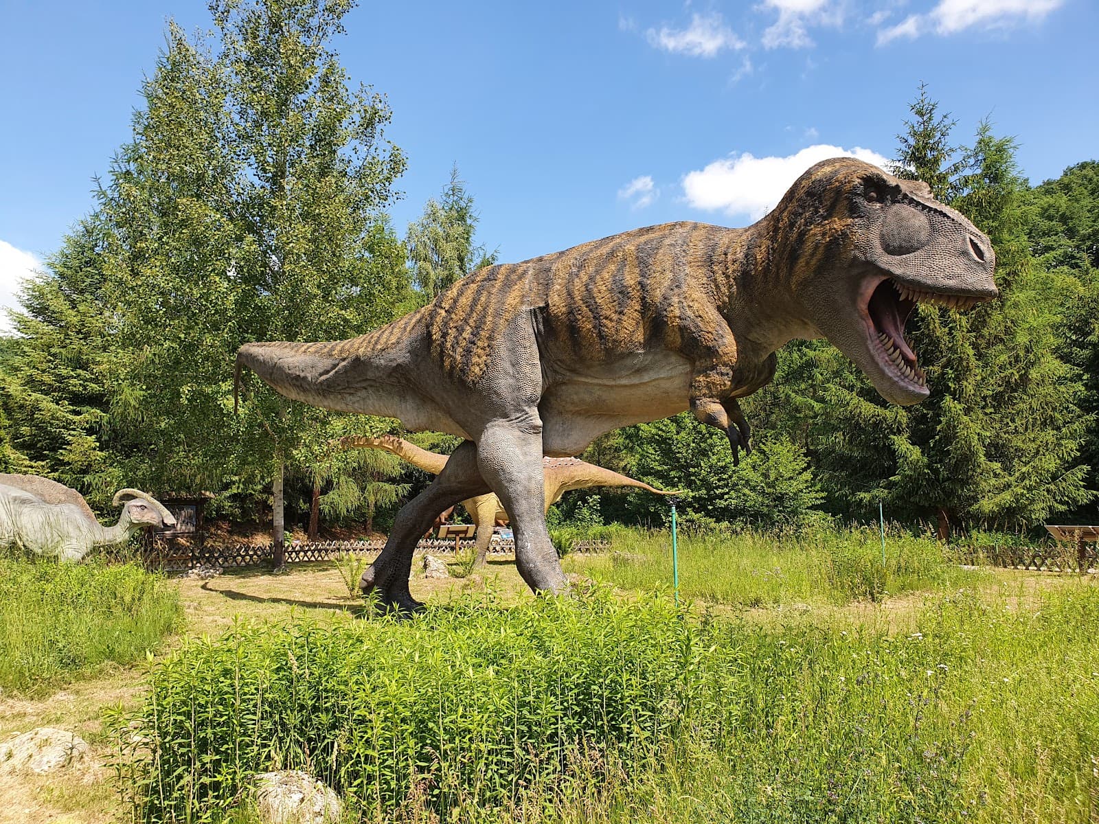 Bałtów Jurassic Park - Image 1