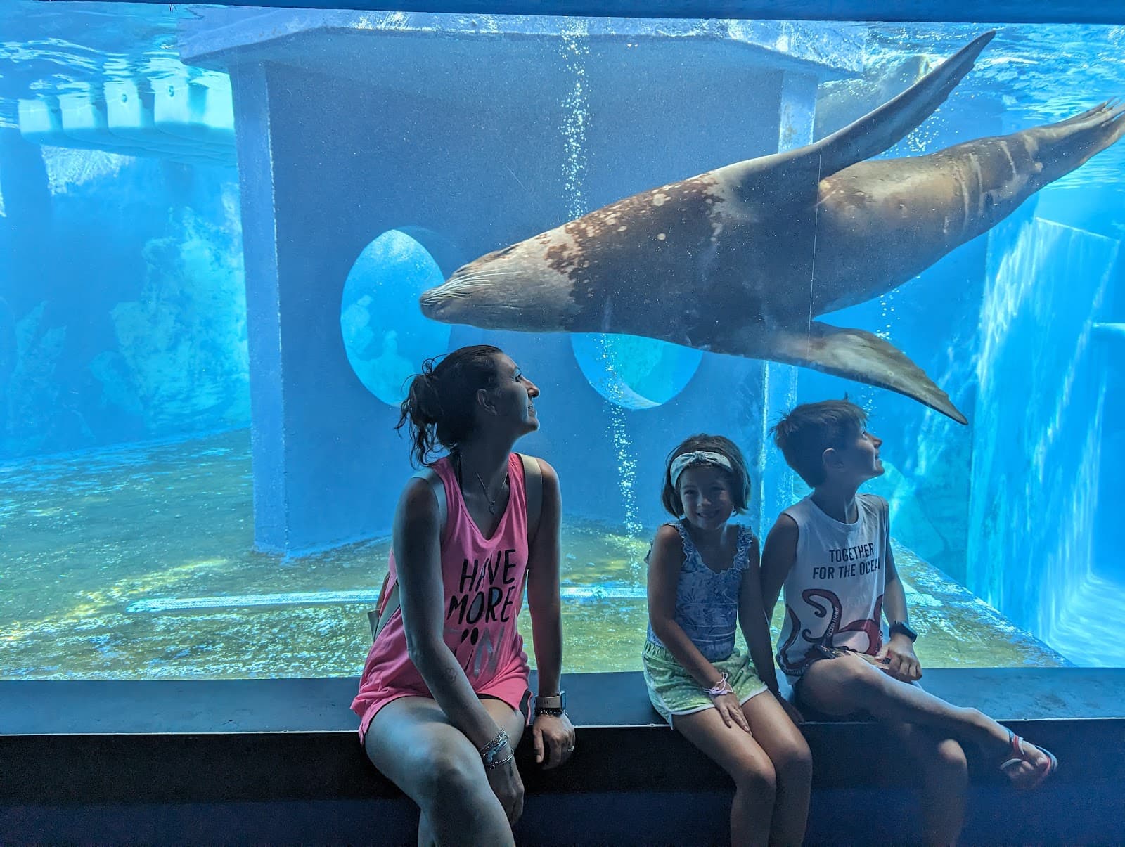 Gardaland SEA LIFE Aquarium - Image 1
