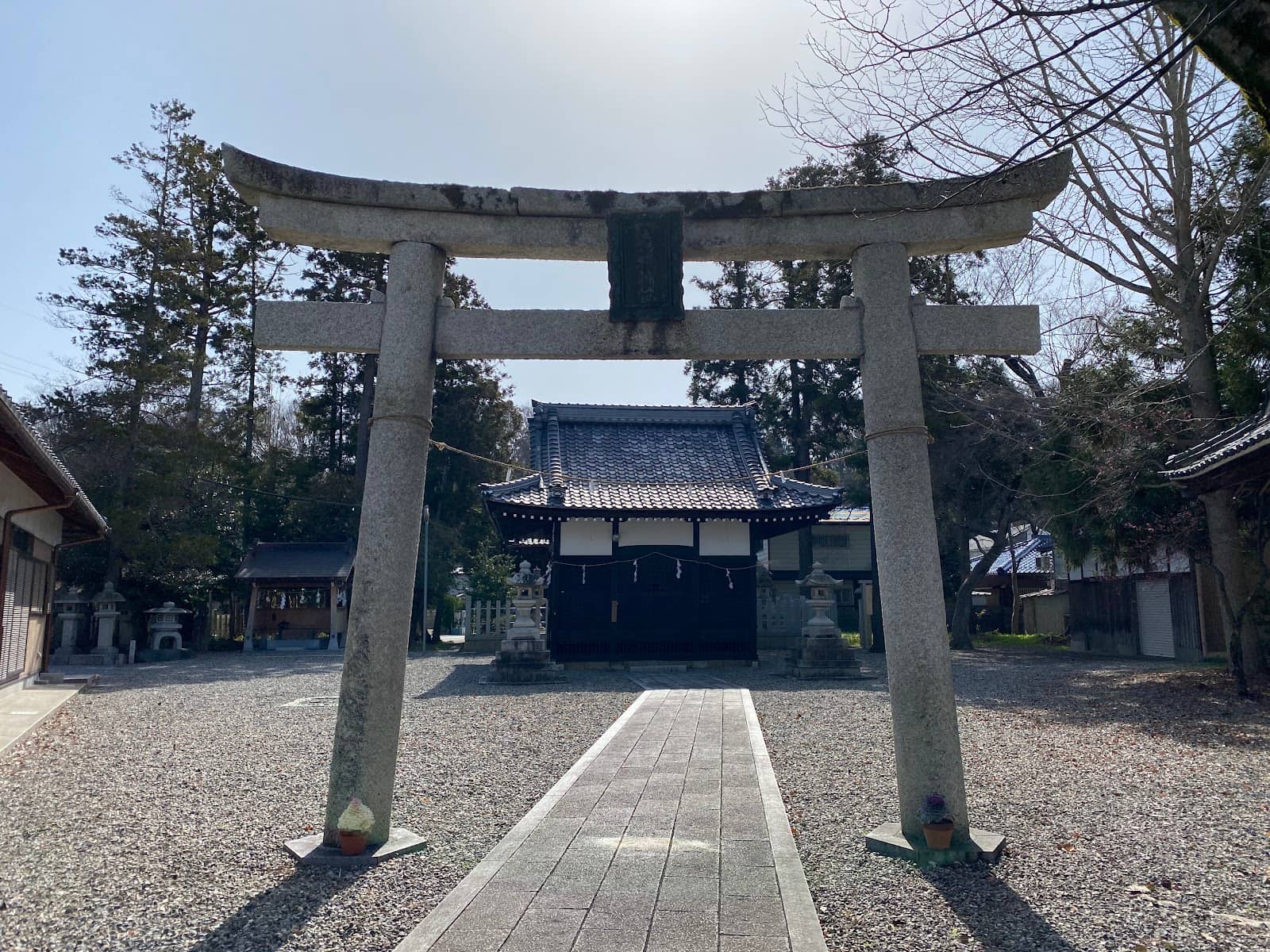 Vertical photo