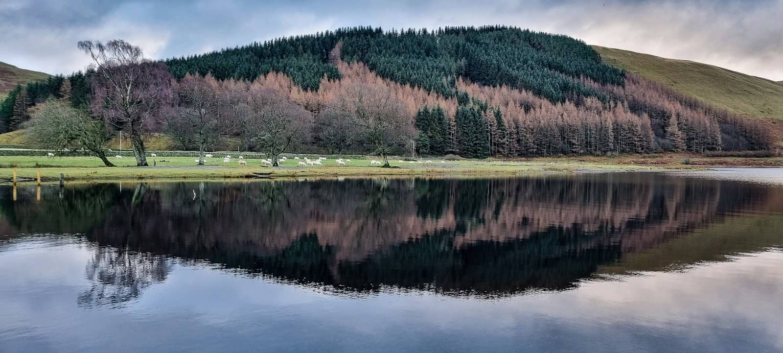 Tranquil Lochside Walks