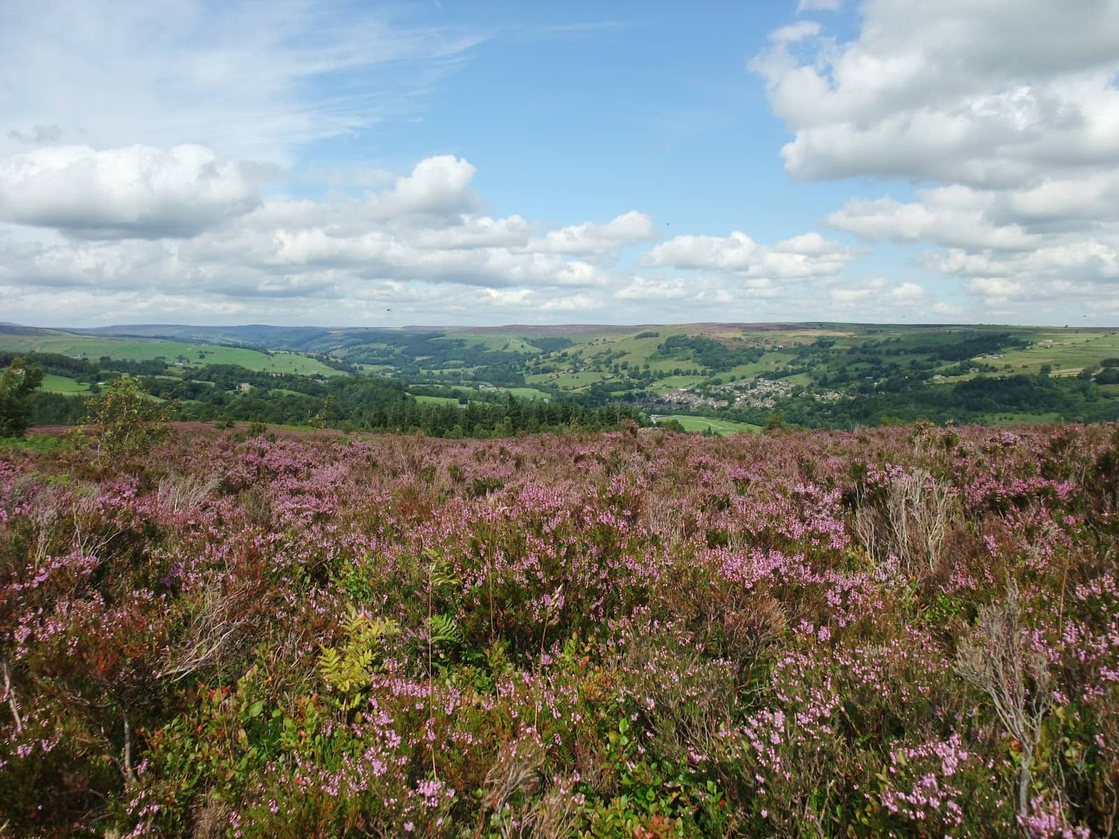 Brimham Rocks