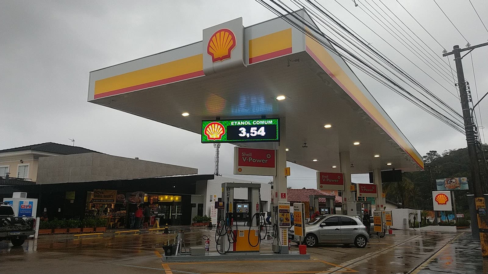 Pernambuco - Image 1