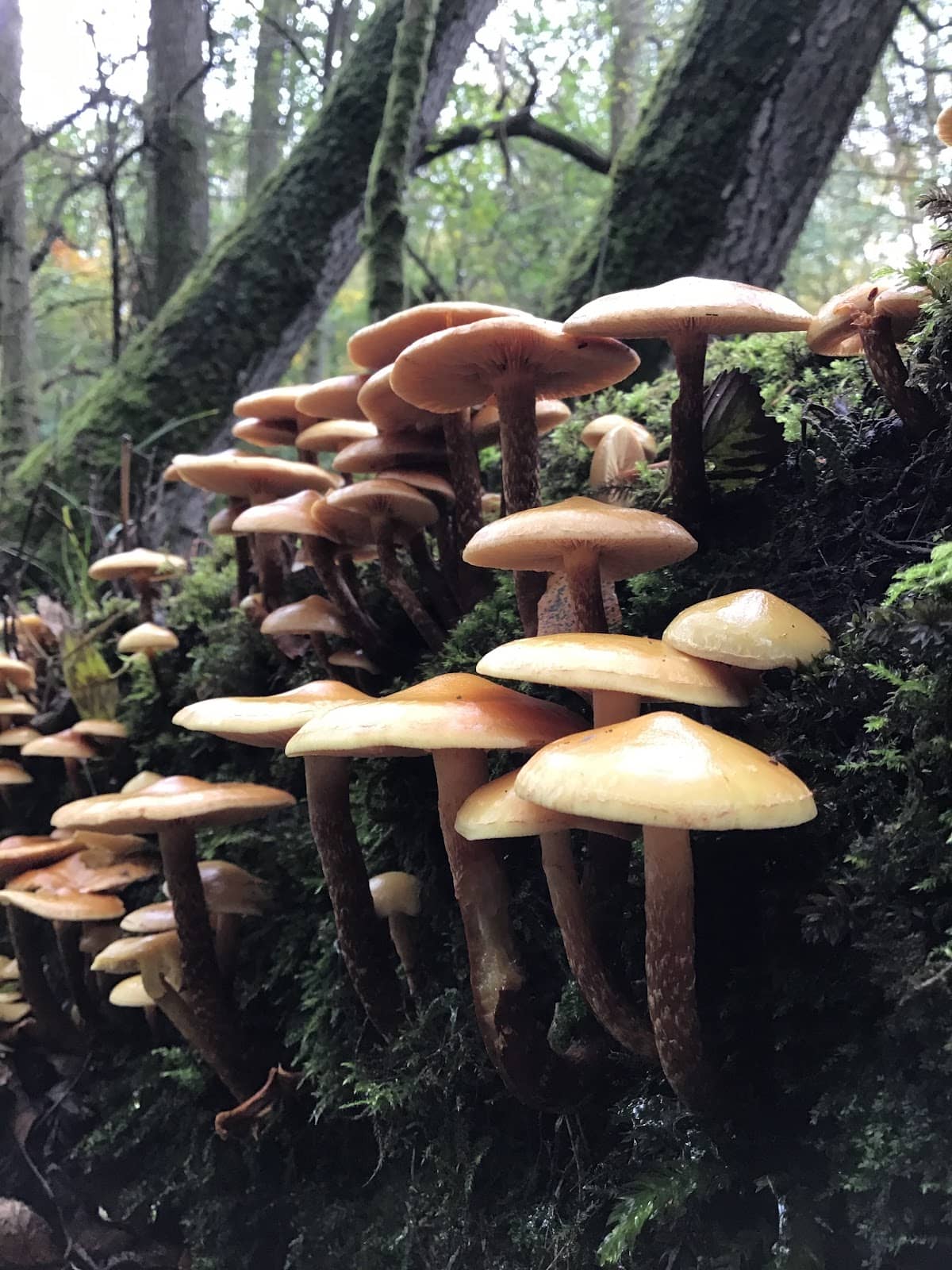 Sculpture Trail Adventure