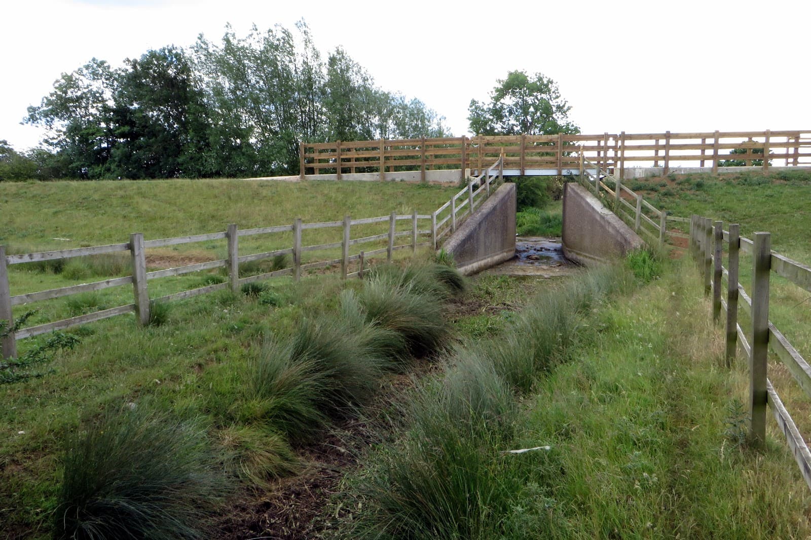 Nene Riverside Walks - Image 1