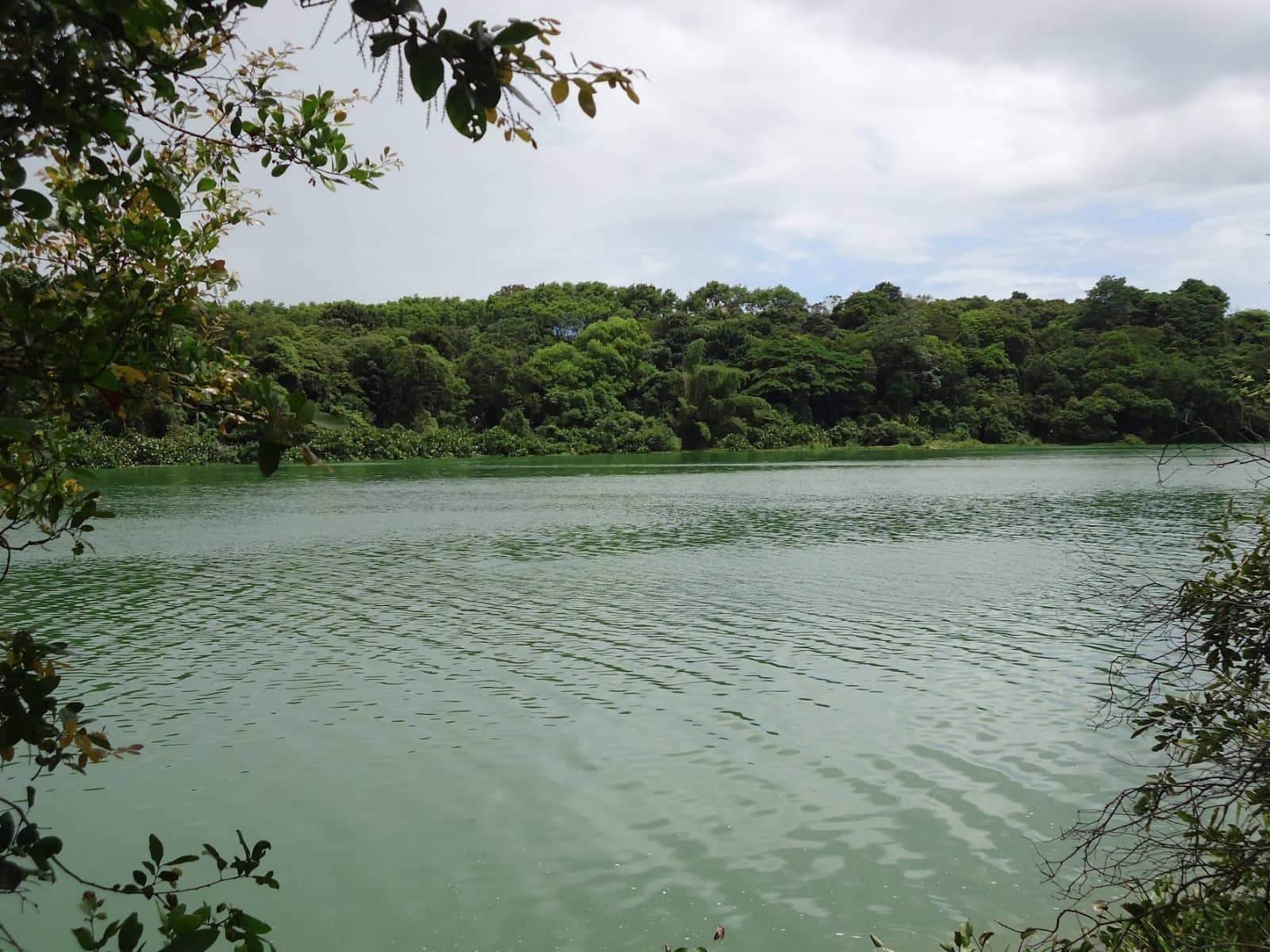 Tranquil Silence