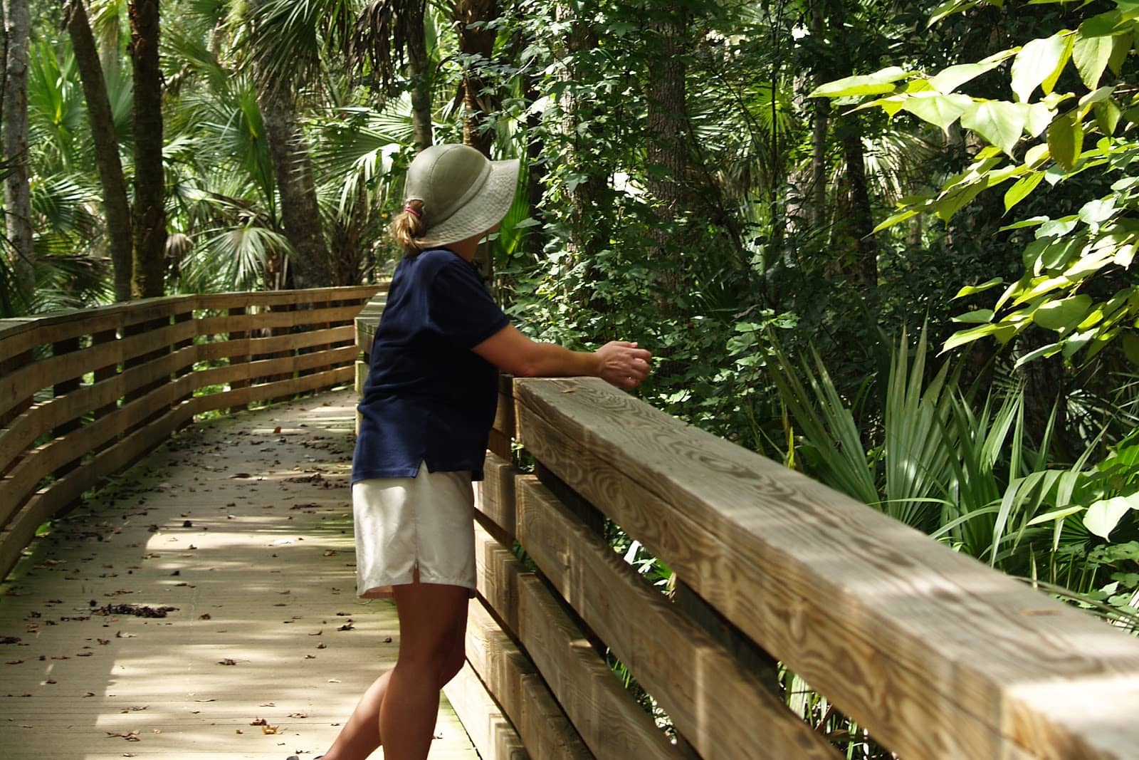 Magical Treehouse Stays