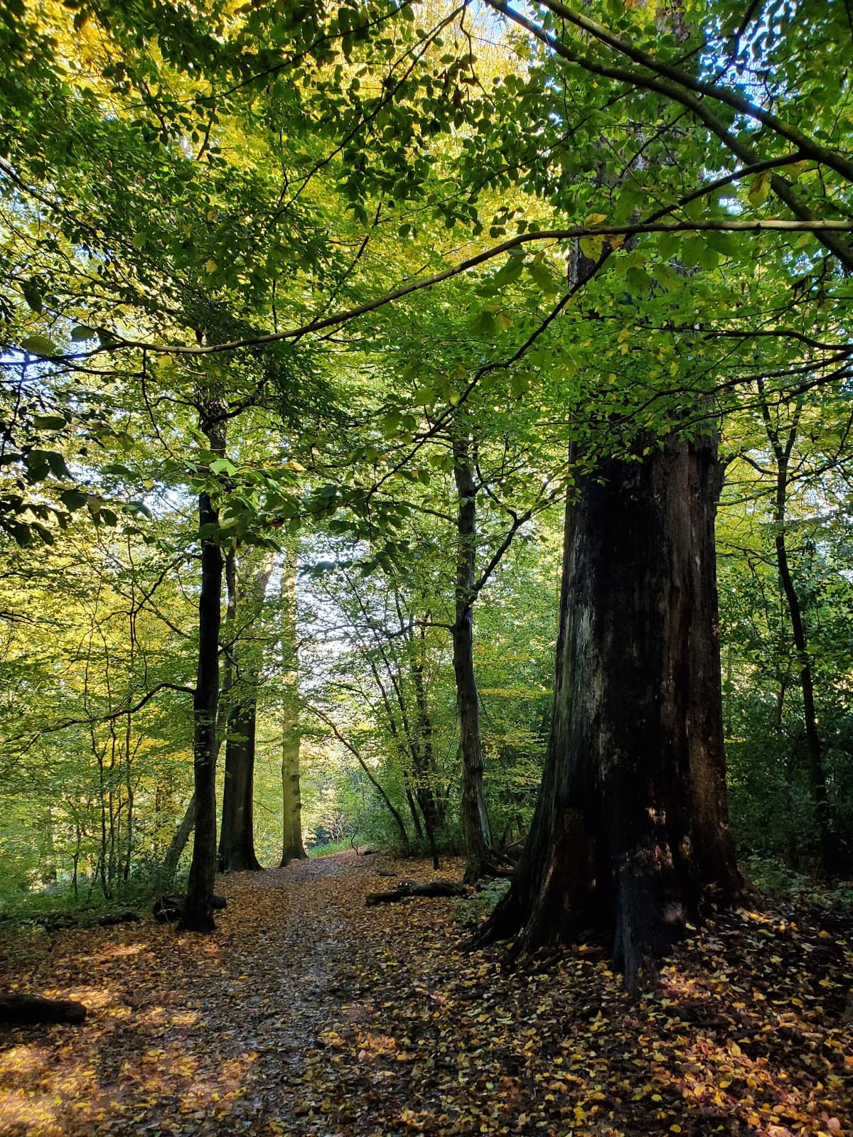 Varied Walking Trails