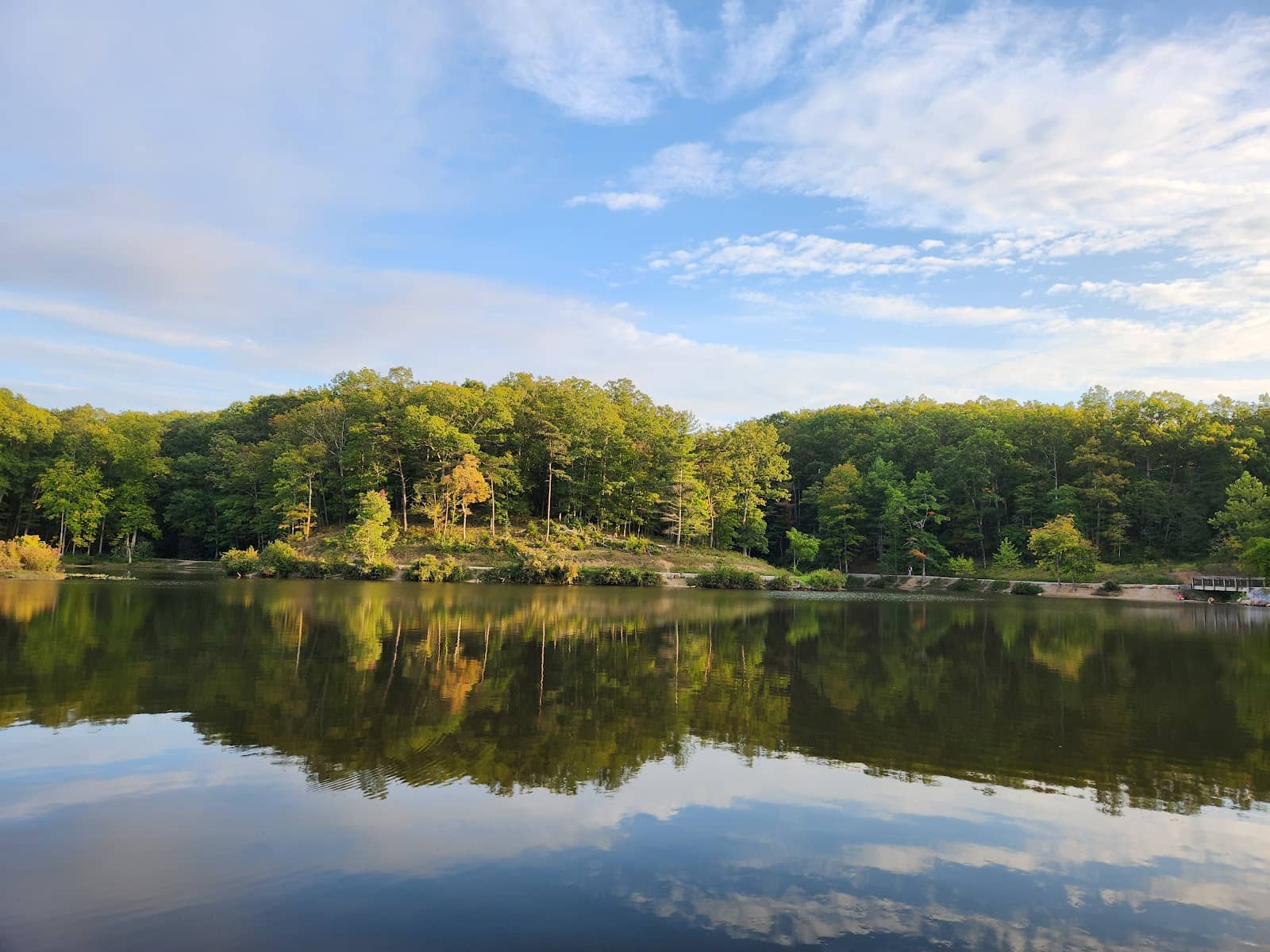 Diverse Trail Network