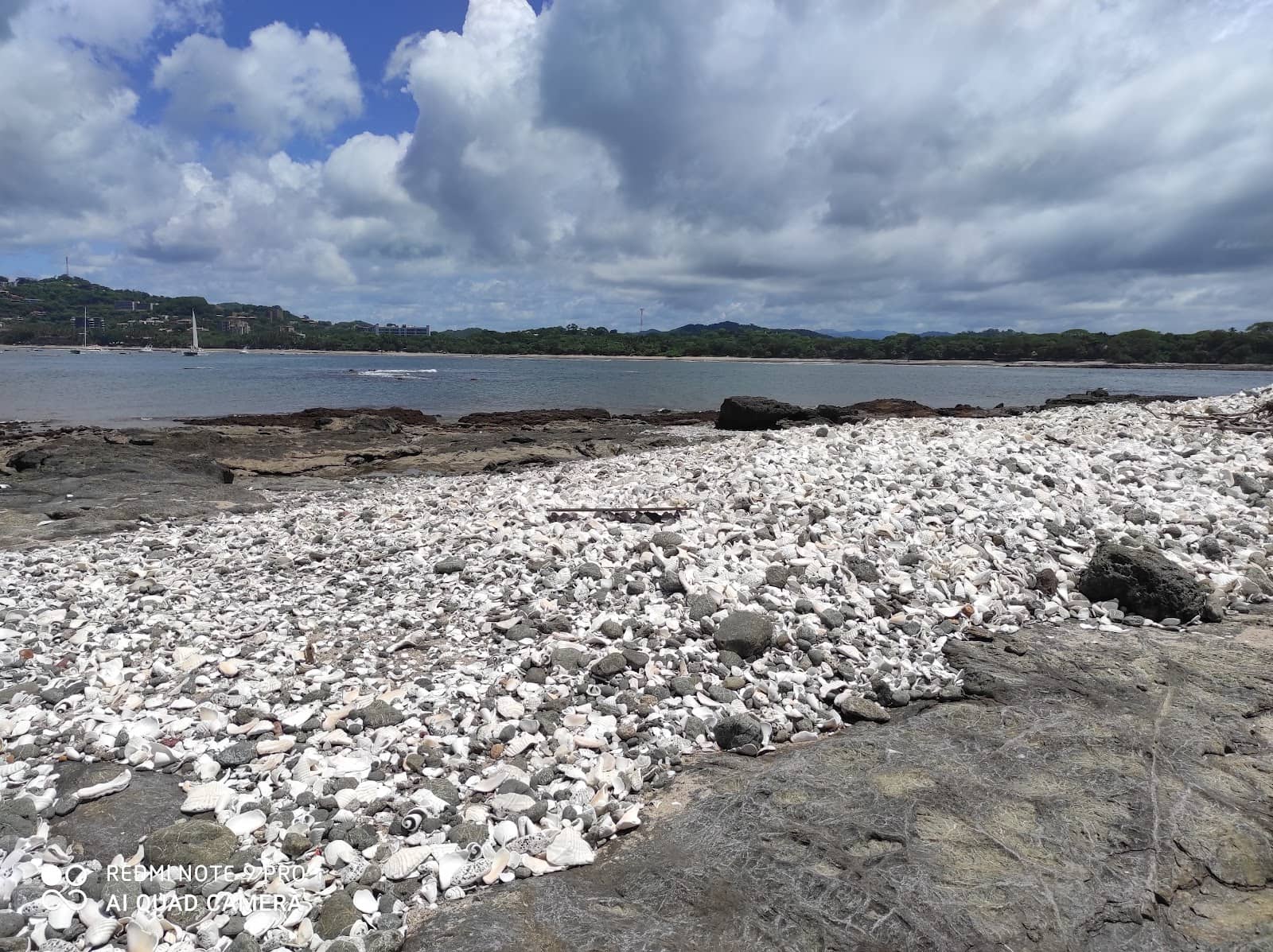 Tide Pool Exploration