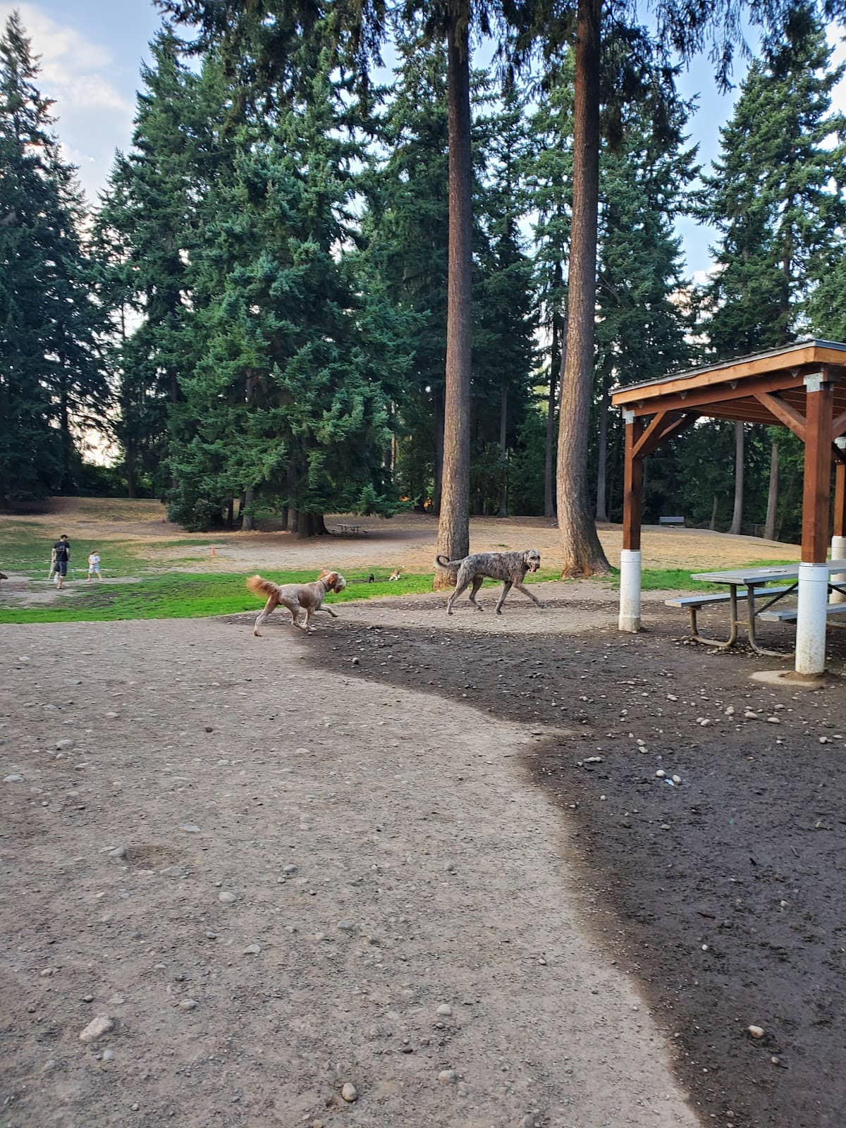 Shaded Trails and Trees
