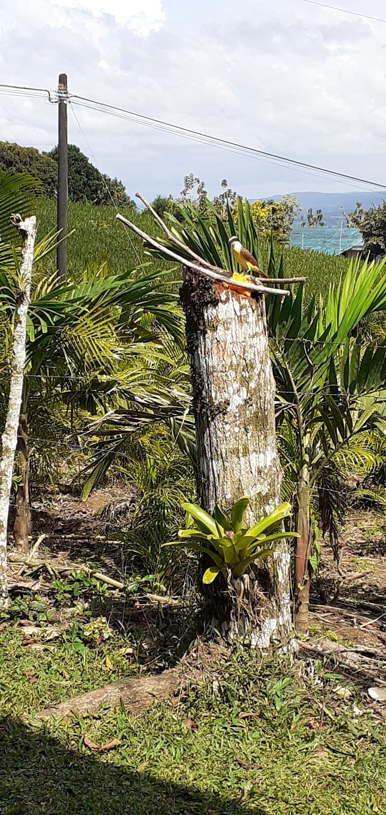 La Tigra Village - Image 1