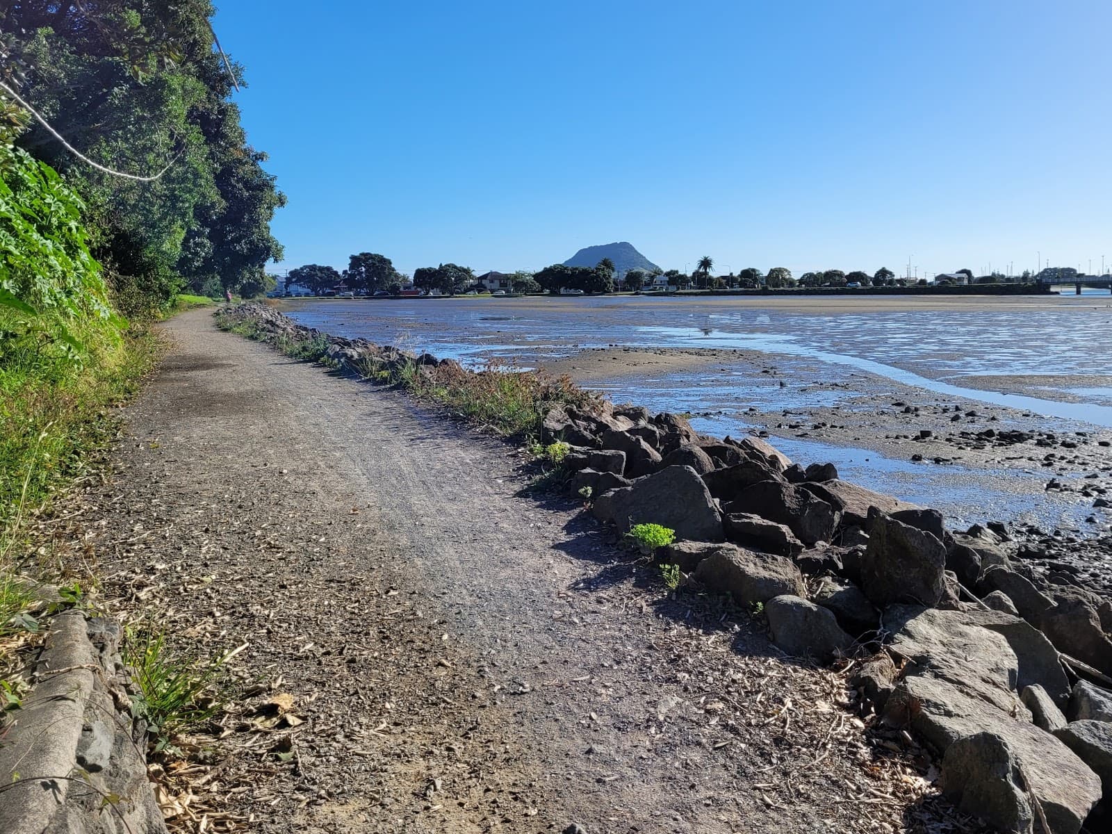 Waikareao Estuary Walkway - Image 1