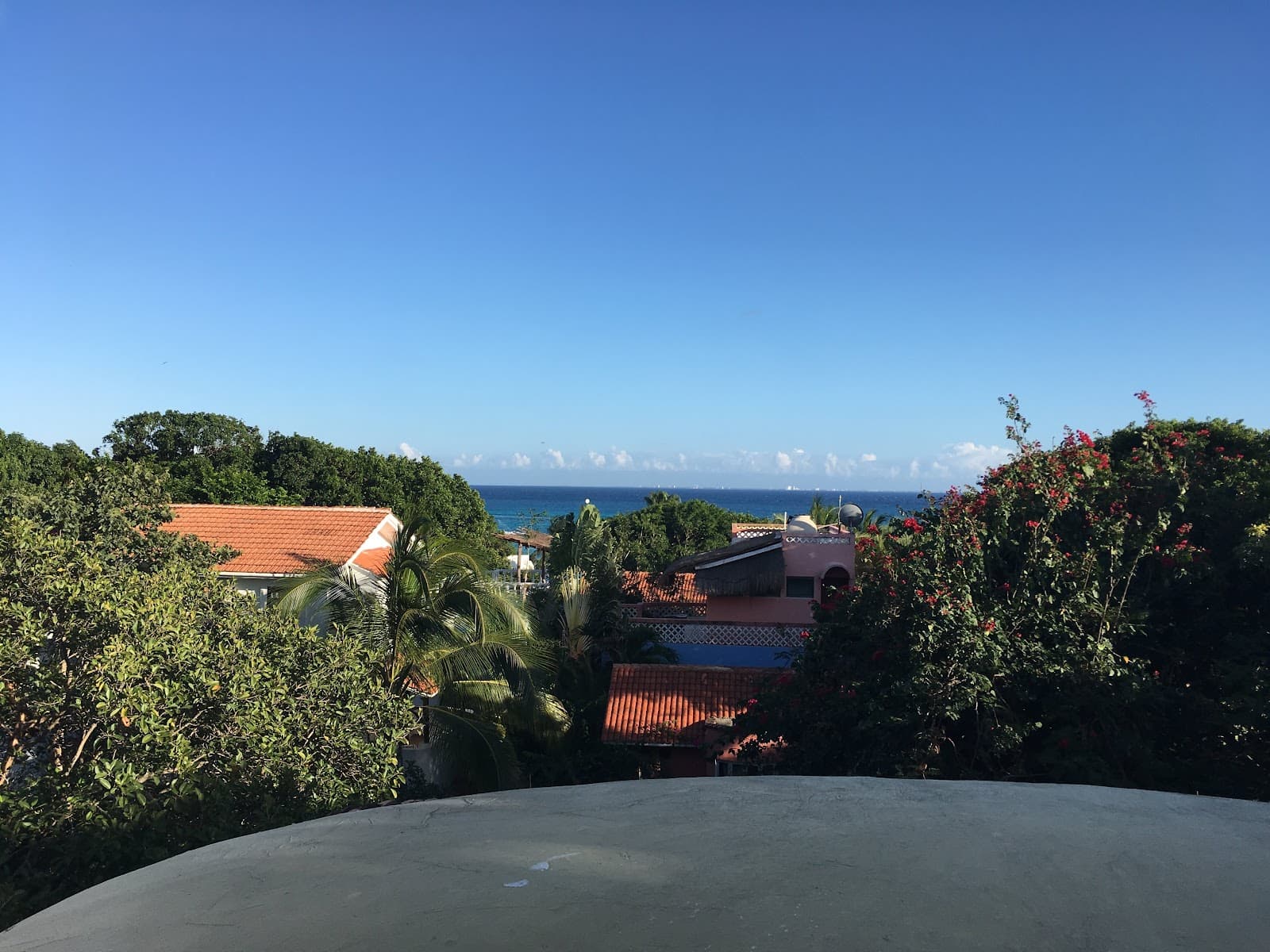 Pared Verde - Image 1