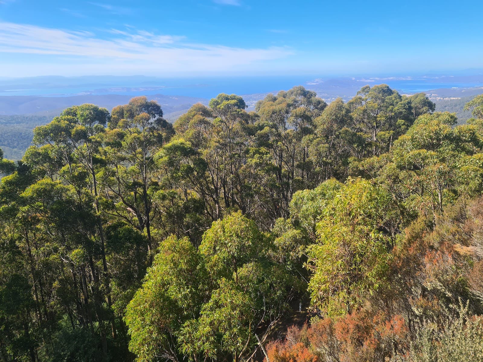 The Springs kunanyi / Mt Wellington - Image 1