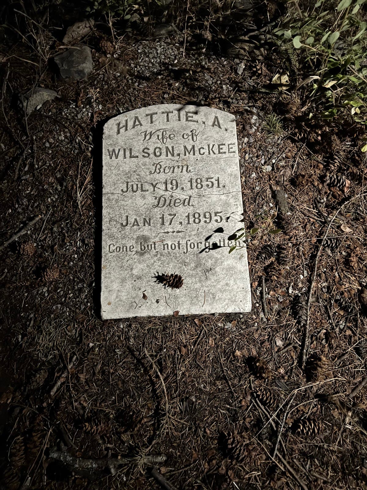 Hope Pioneer Cemetery - Image 1