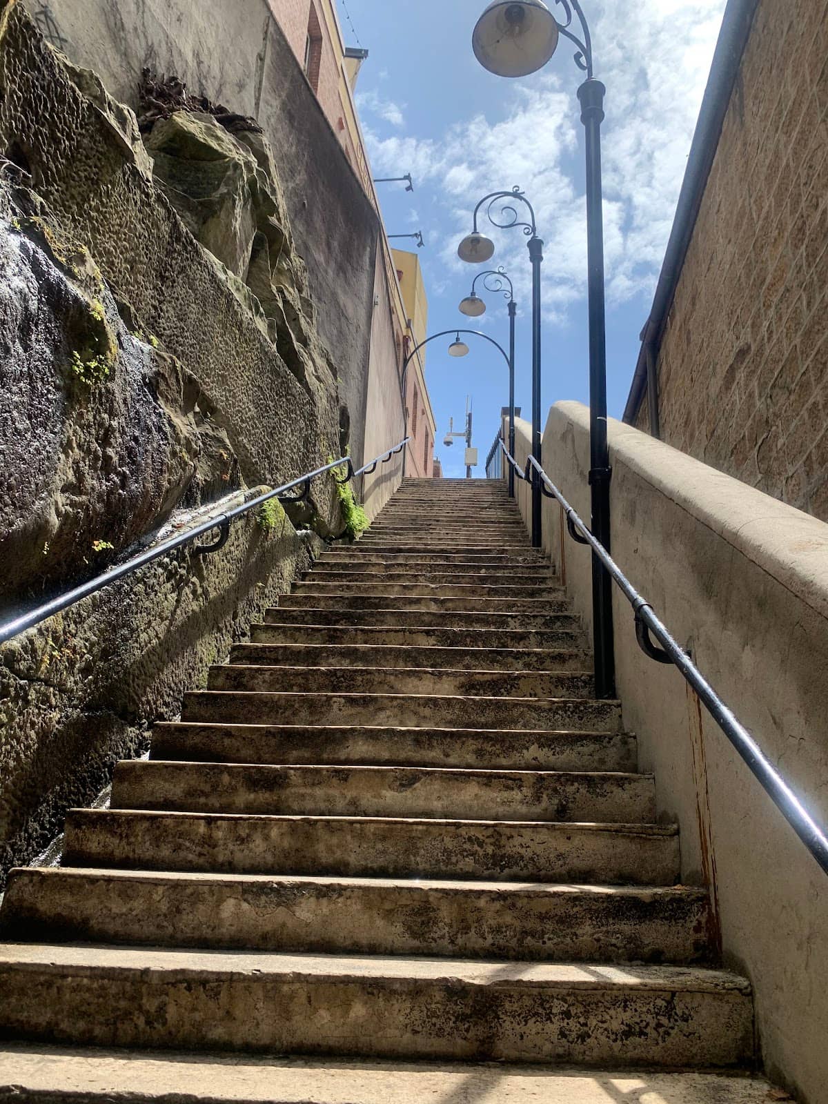 Vertical photo