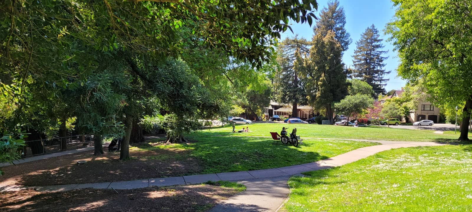 Playgrounds & Courts