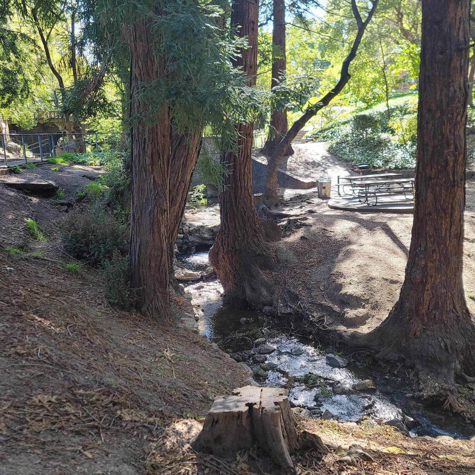 Vertical photo