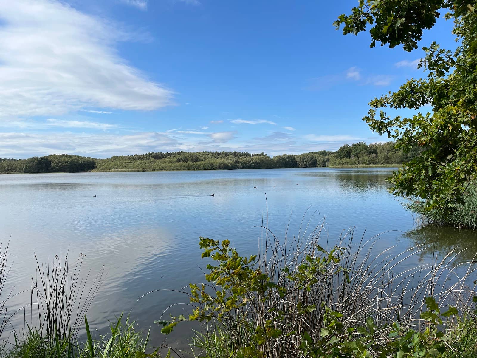 Wittenberg's Historic Charm