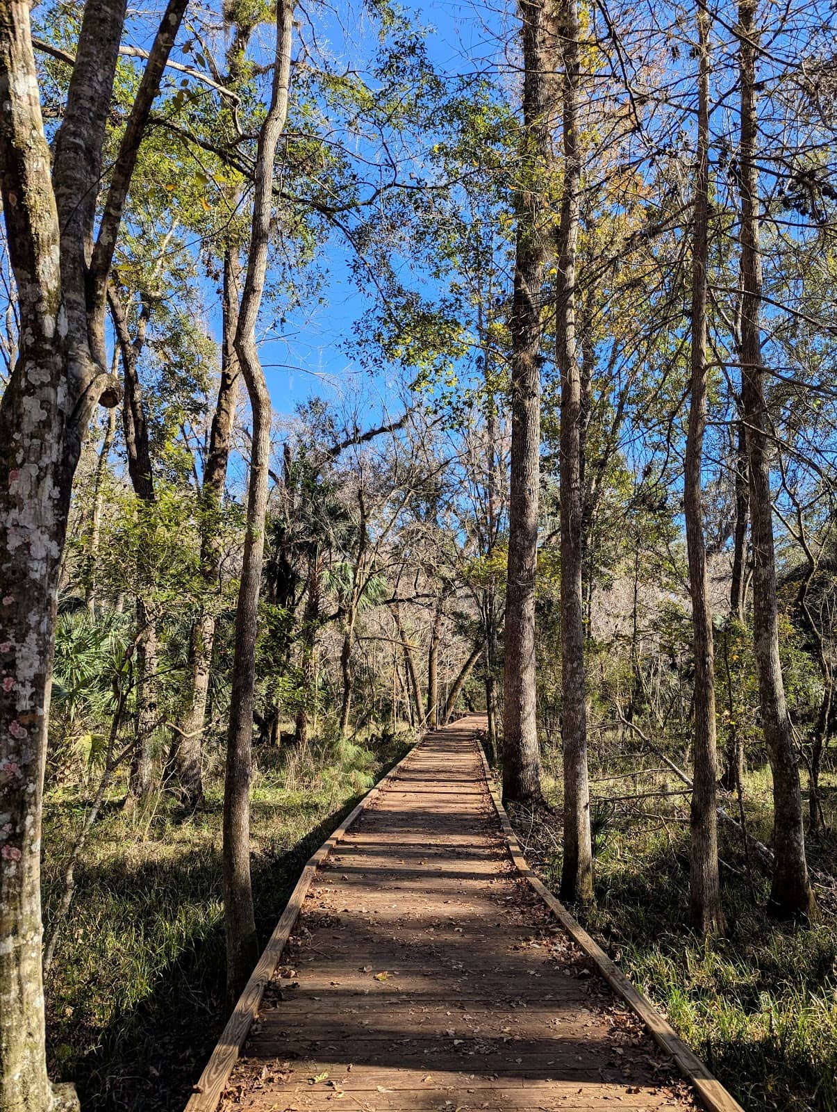 Diverse Ecosystems