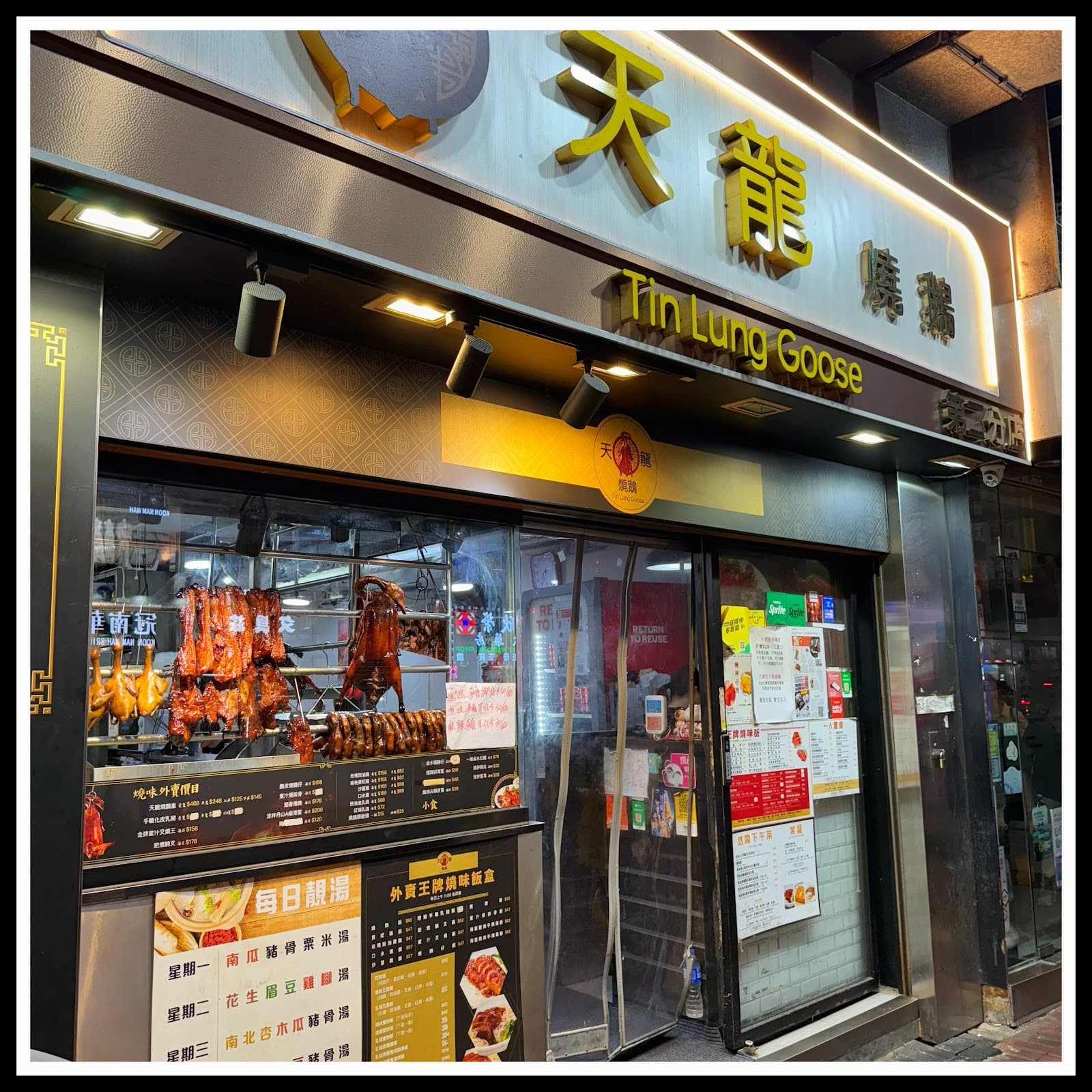 Tin Lung Goose - Image 1