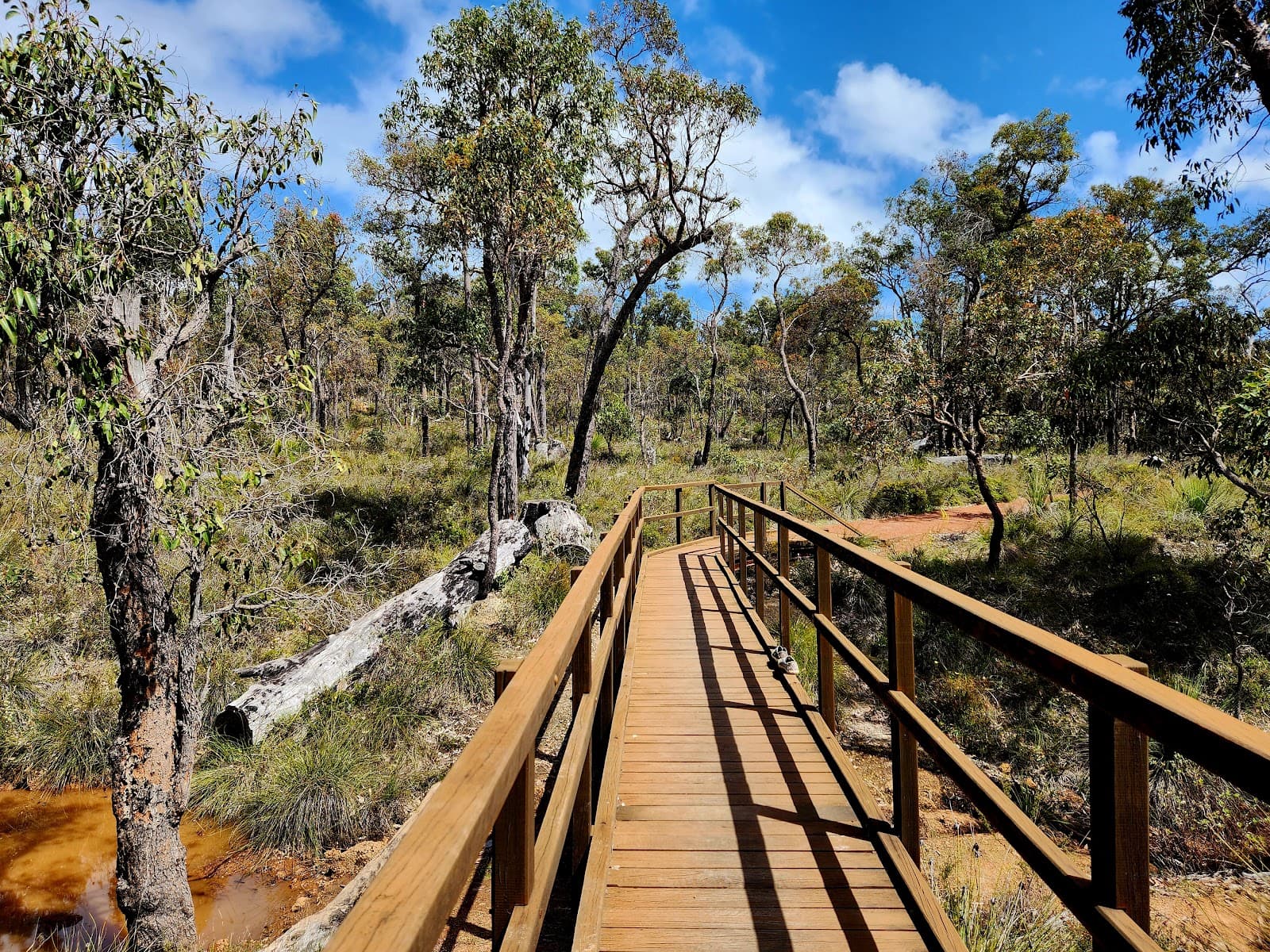 Crooked Brook Forest - Image 1