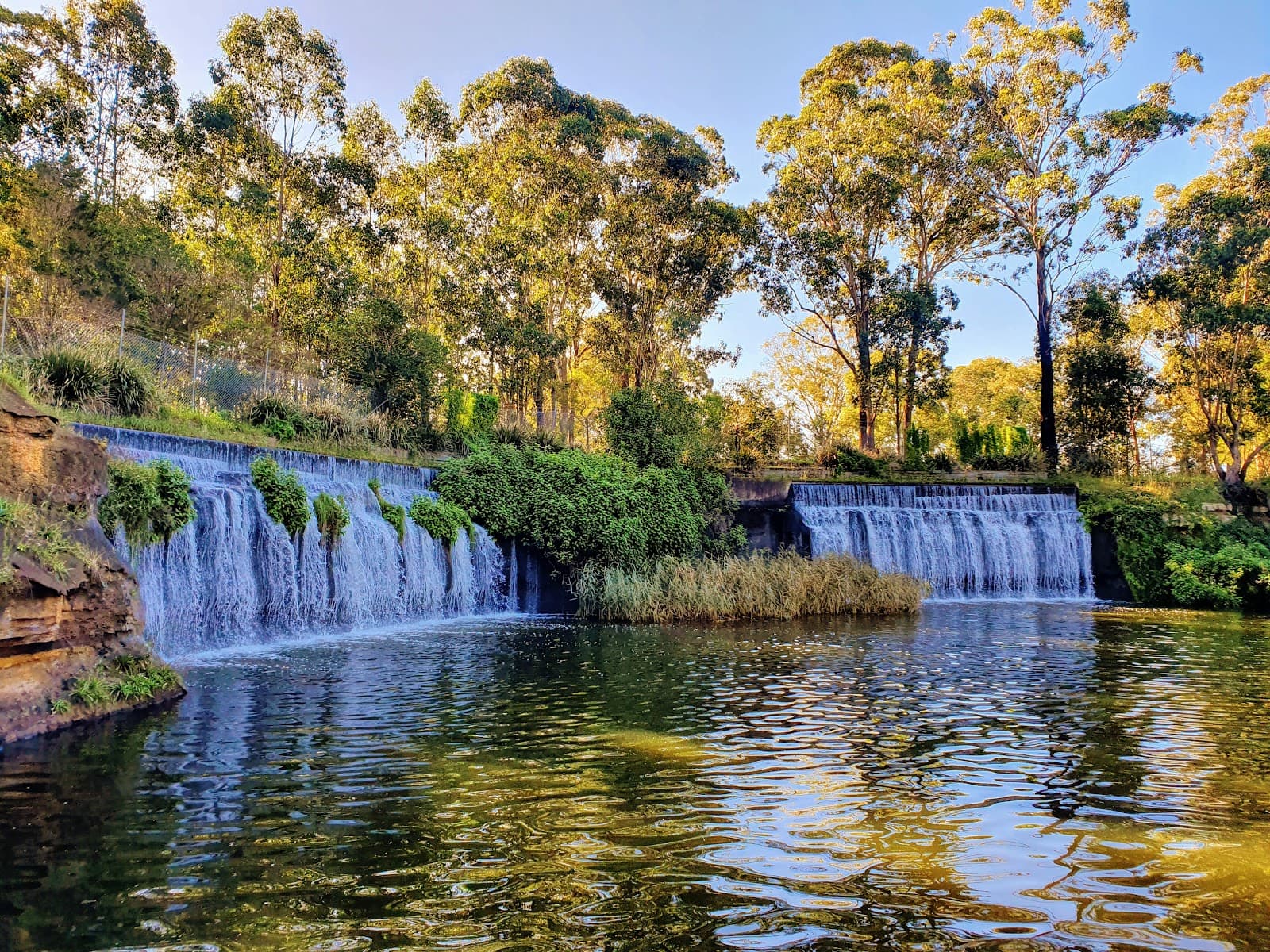 Central Gardens Nature Reserve - Image 1