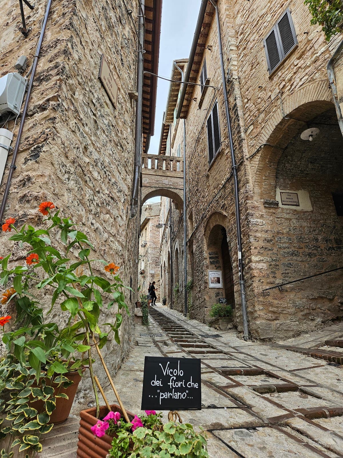 Spello Italy - Image 1