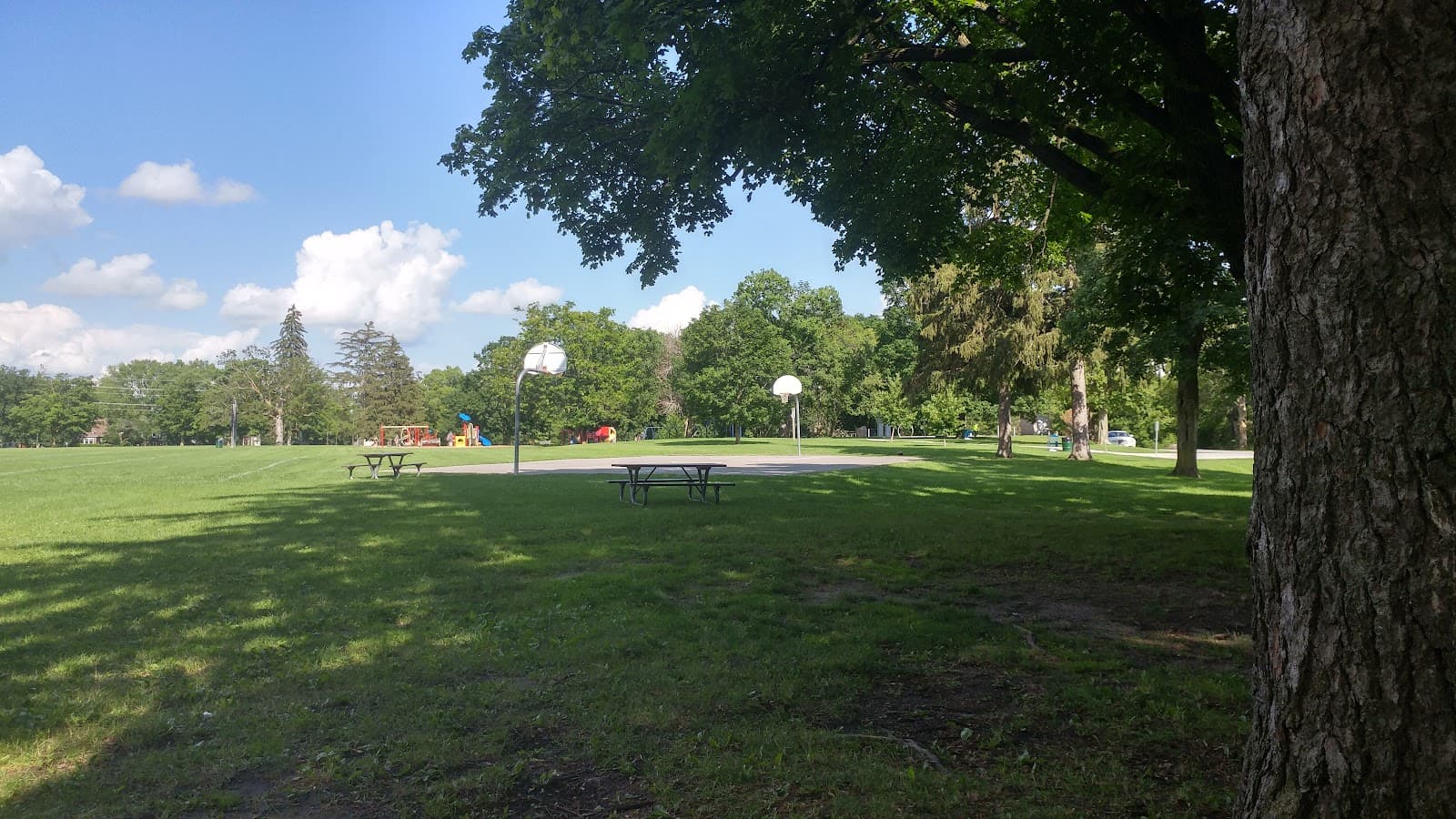 Nicholls Oval Park - Image 1