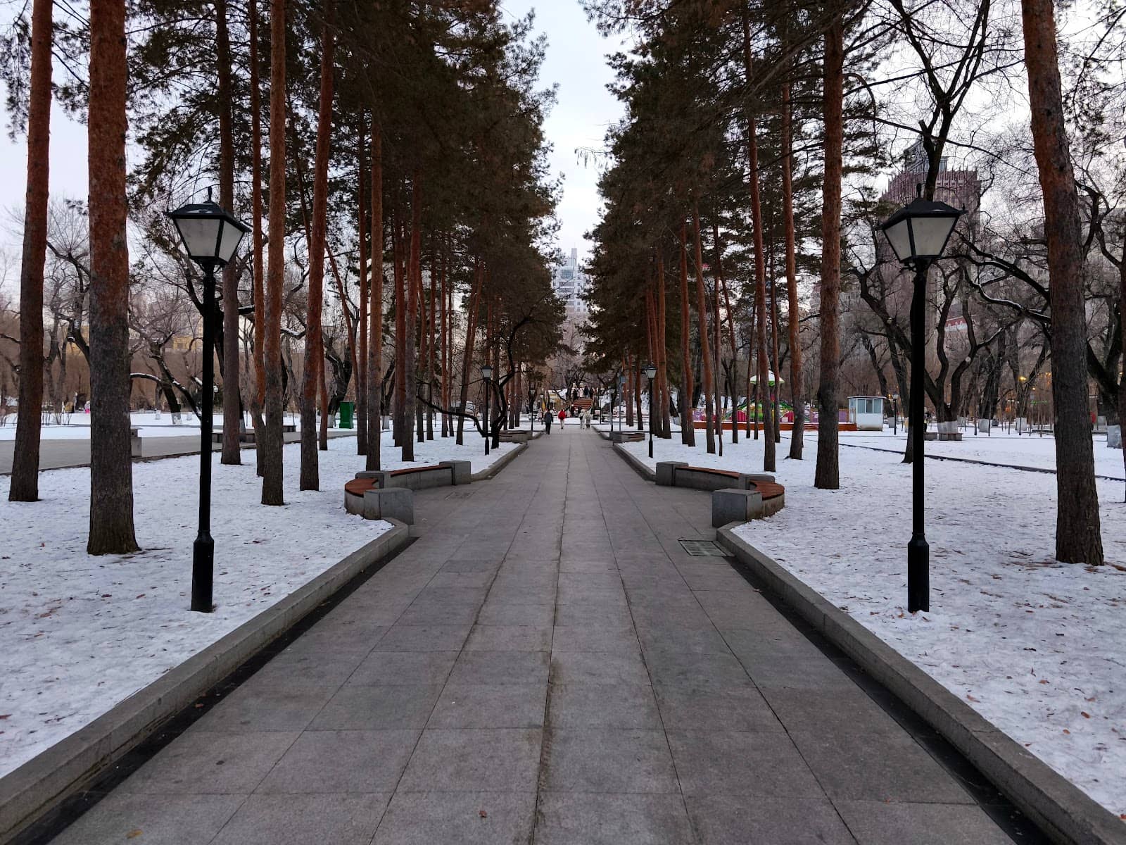 Vertical photo