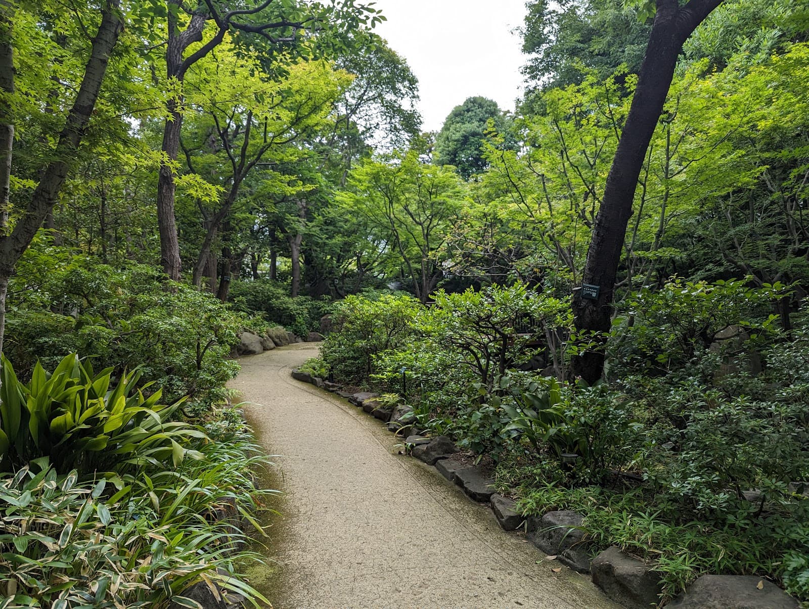 Island Garden - Image 1