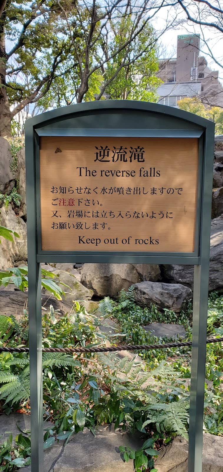 Vertical photo
