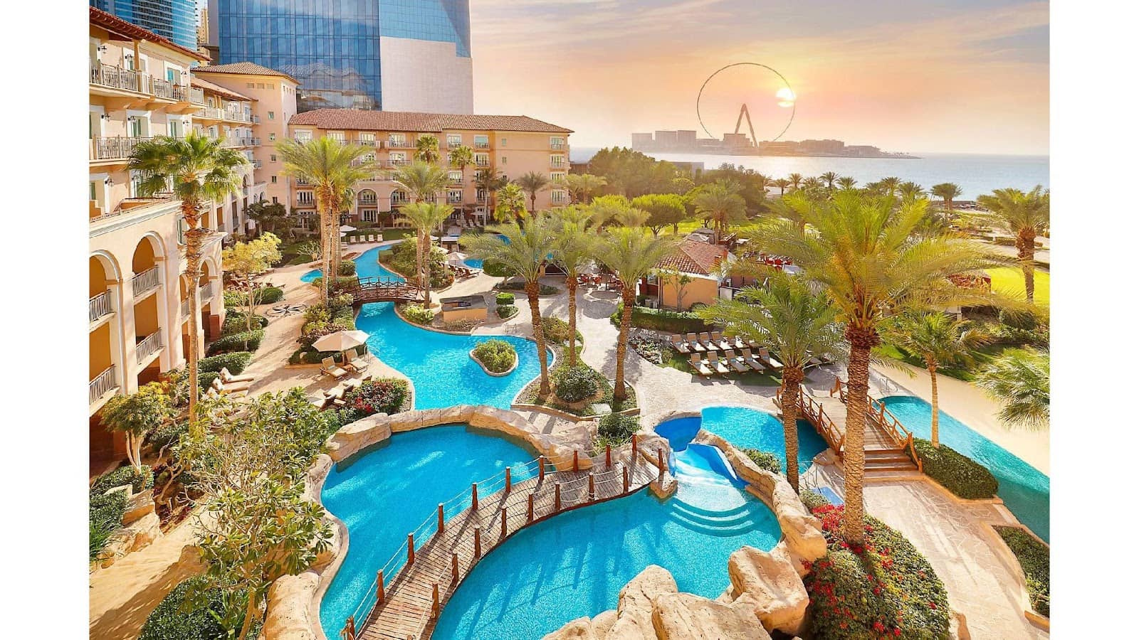 Upscale Dining Experiences