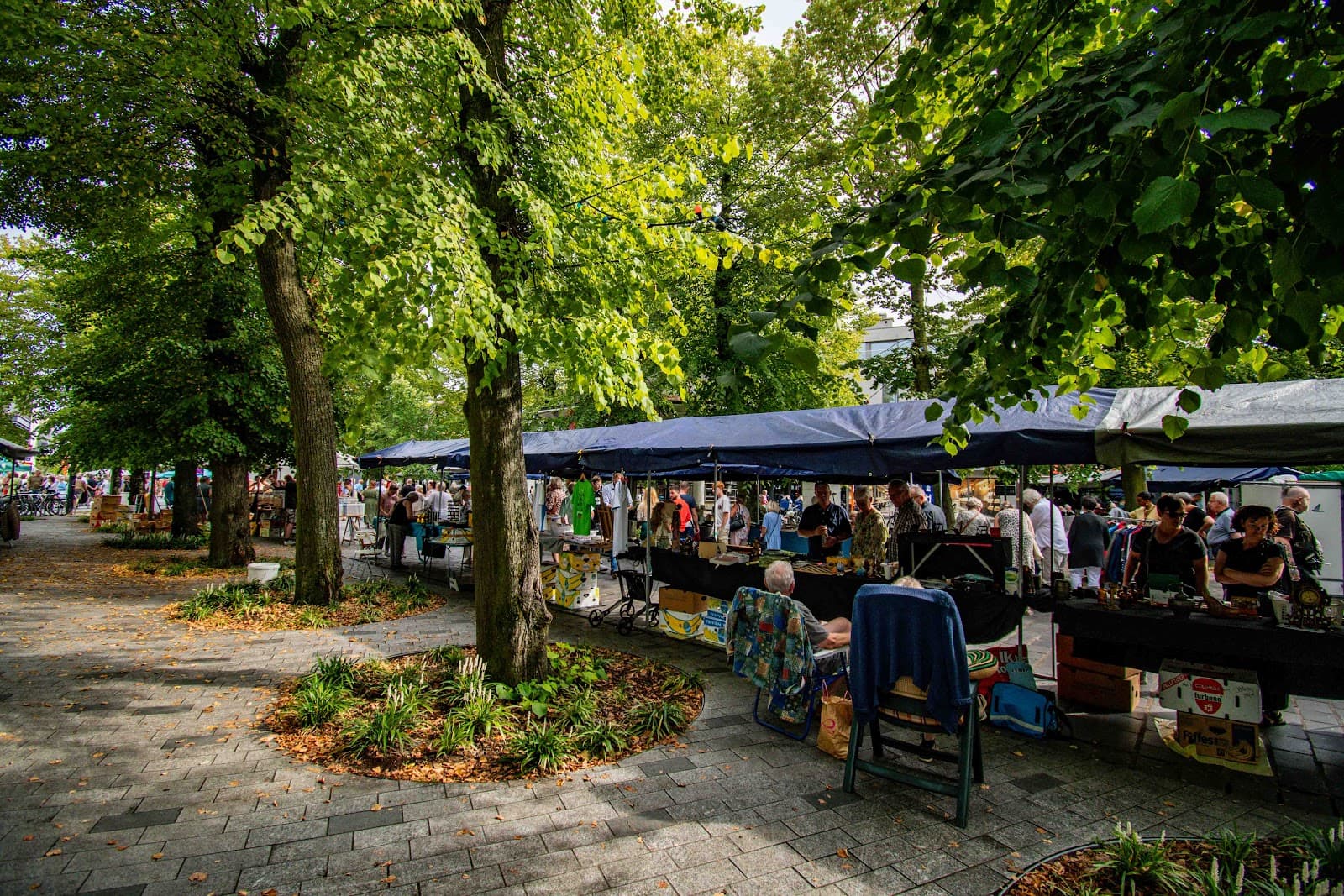 Lommel Market Square - Image 1