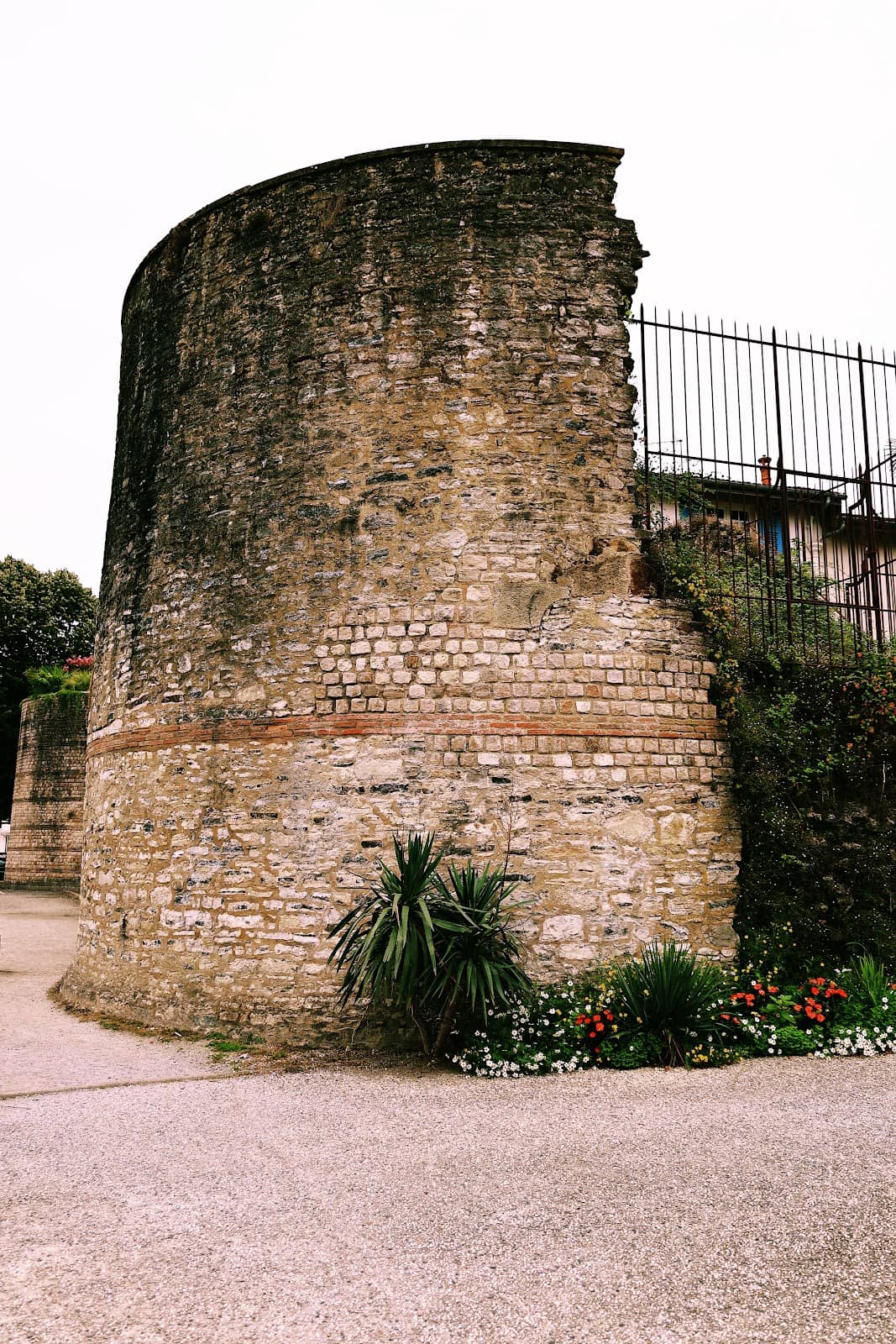 Vertical photo