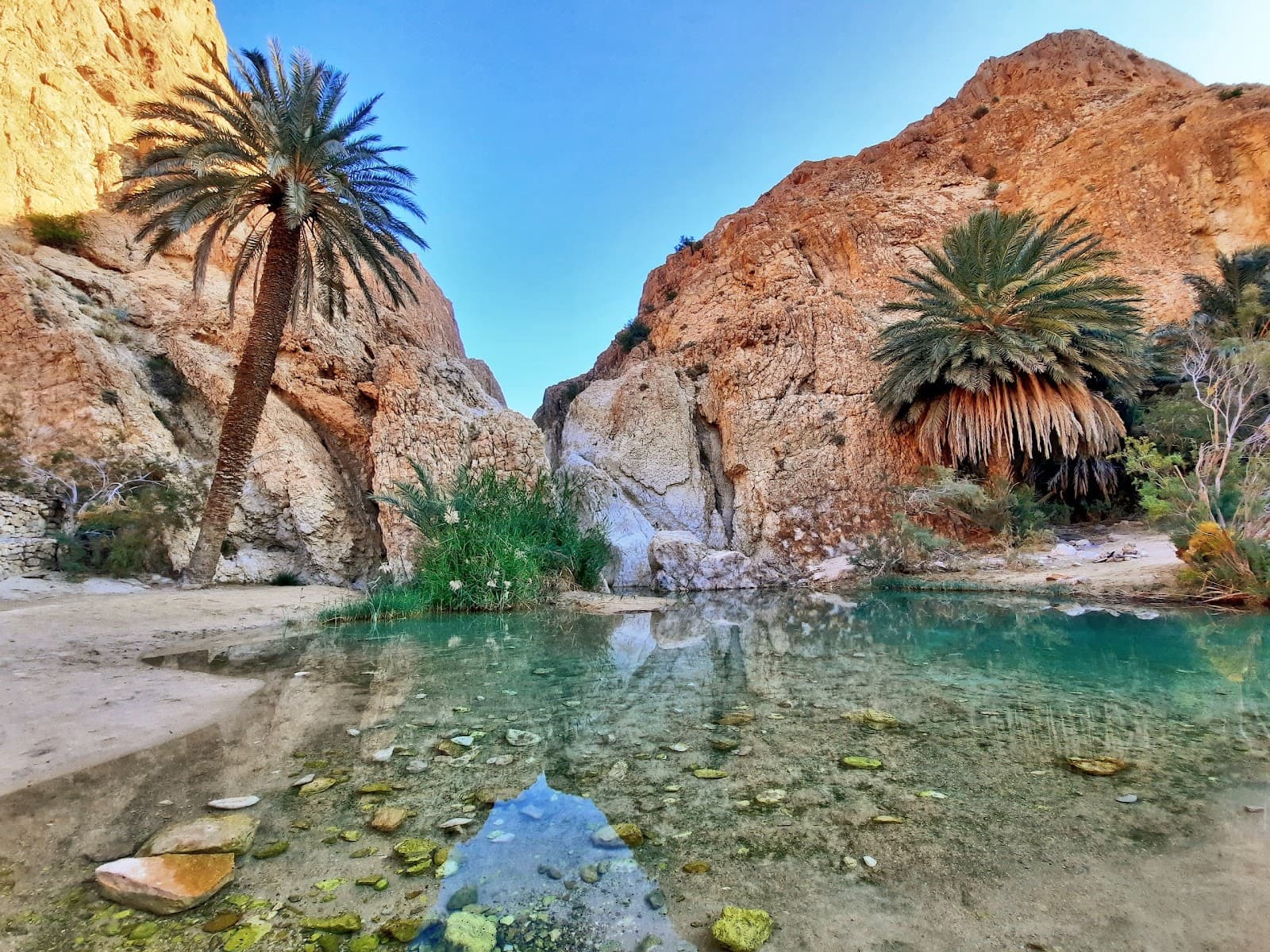 Chebika Oasis - Image 1